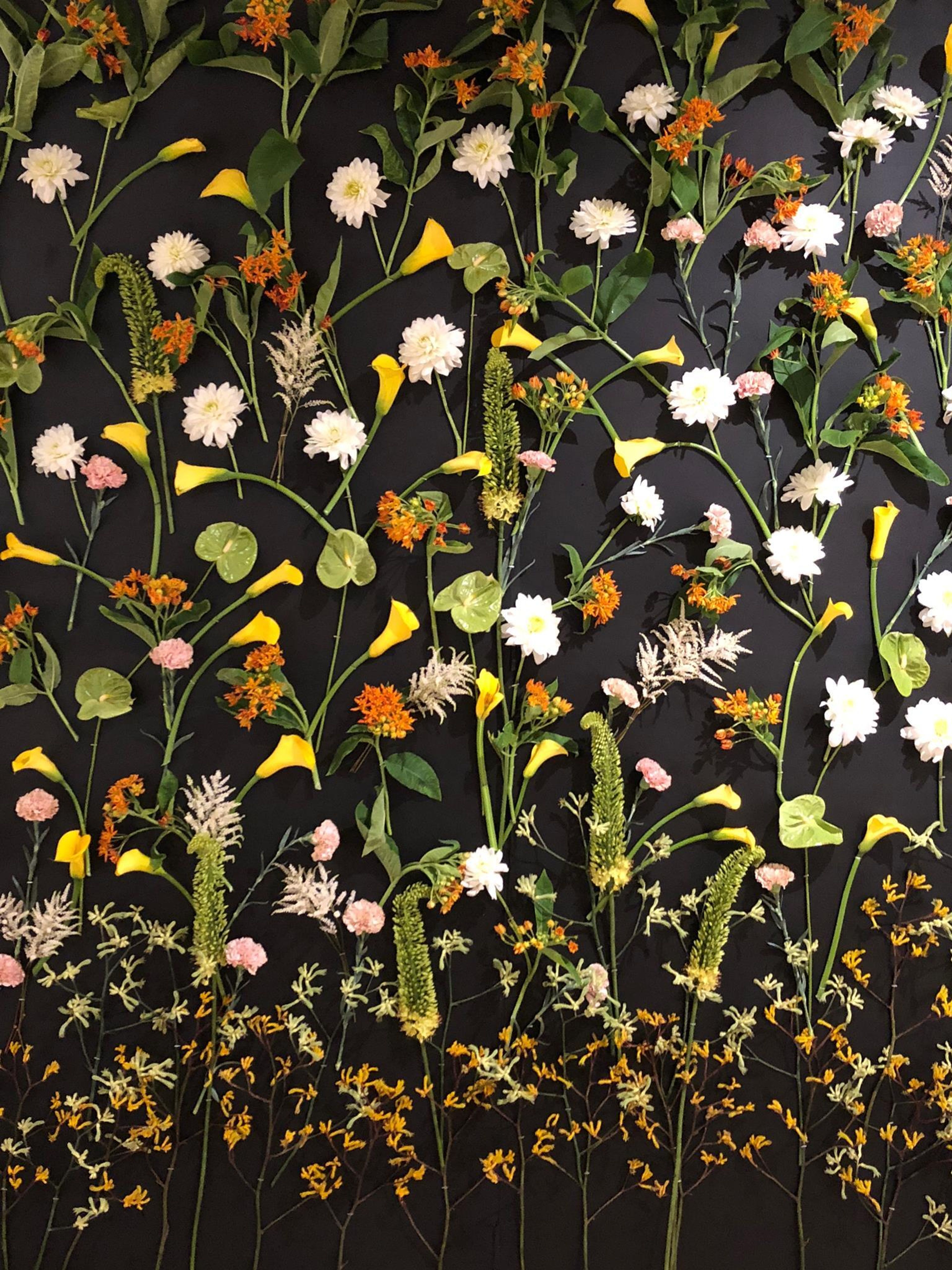 Cover photo of KPW Productions