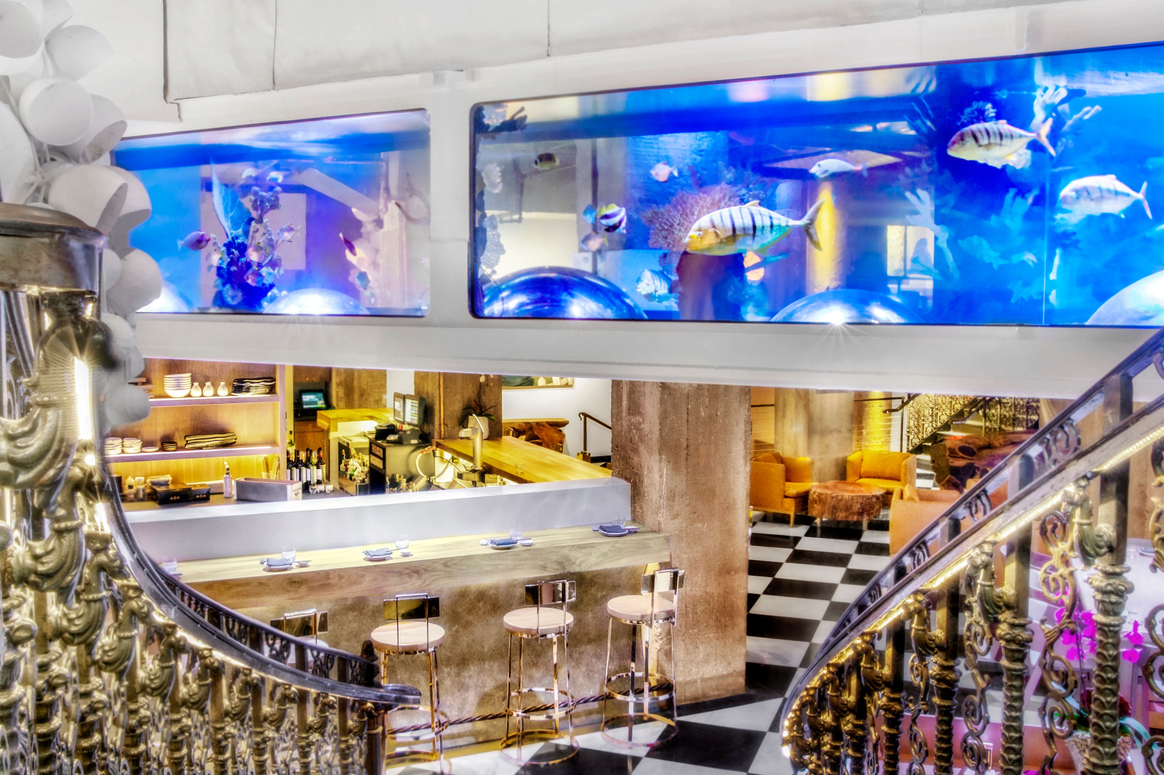 Cover photo of Mrs. Fish