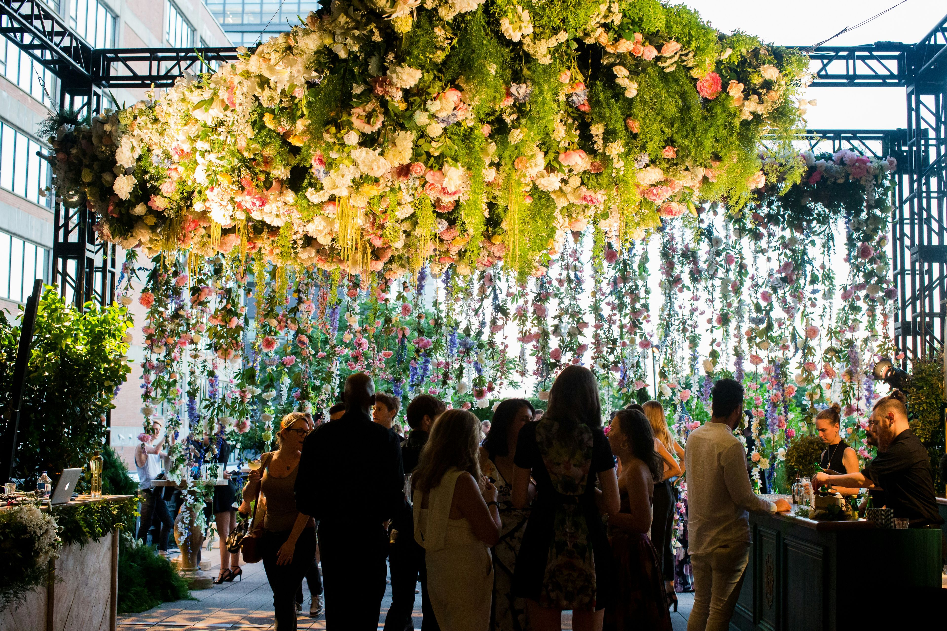 Cover photo of BOTANICA INC