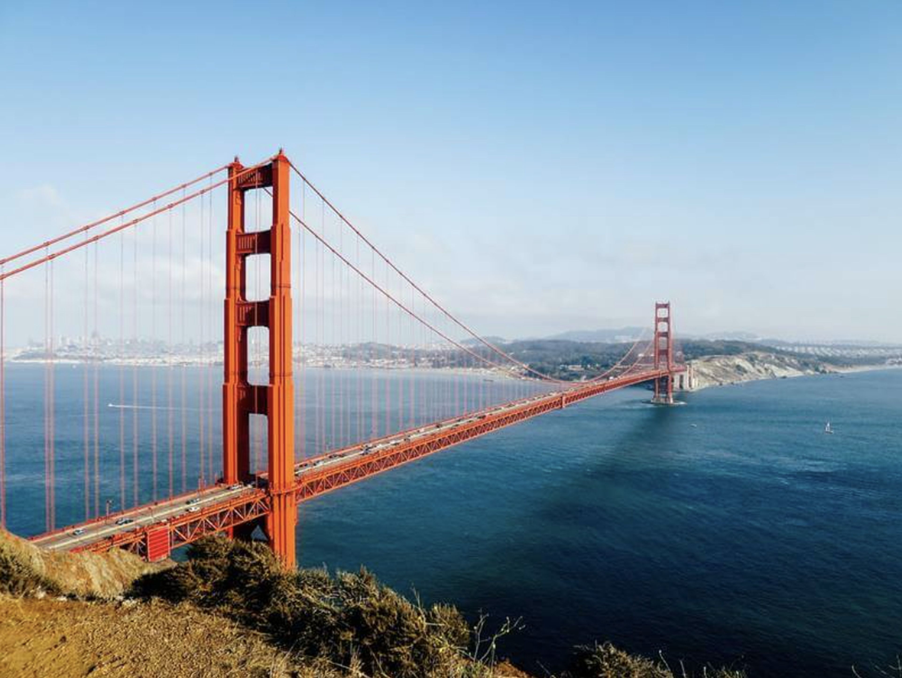 Cover photo of SF Driven Limo Service