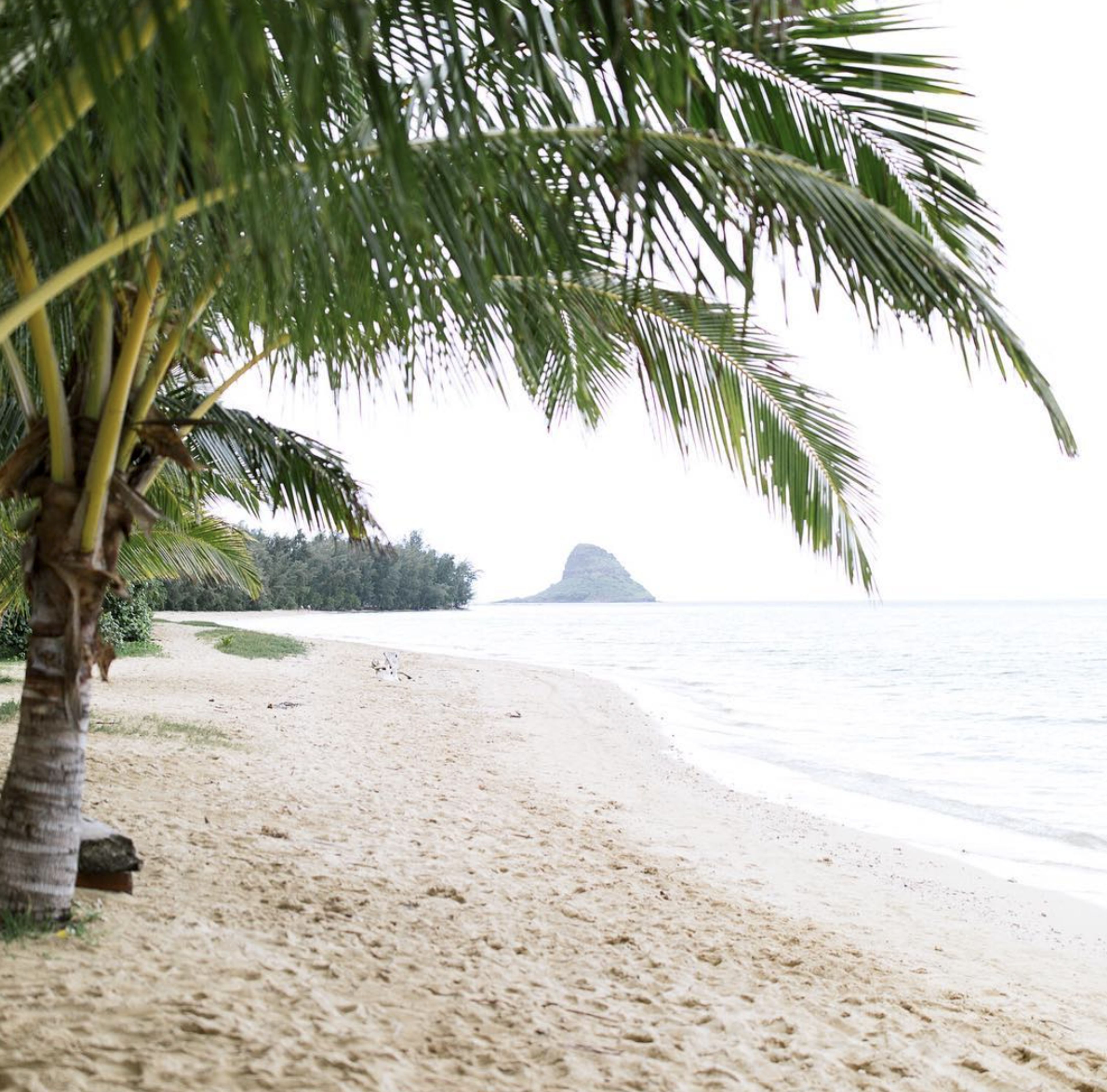 Cover photo of Shanna Castro Photography