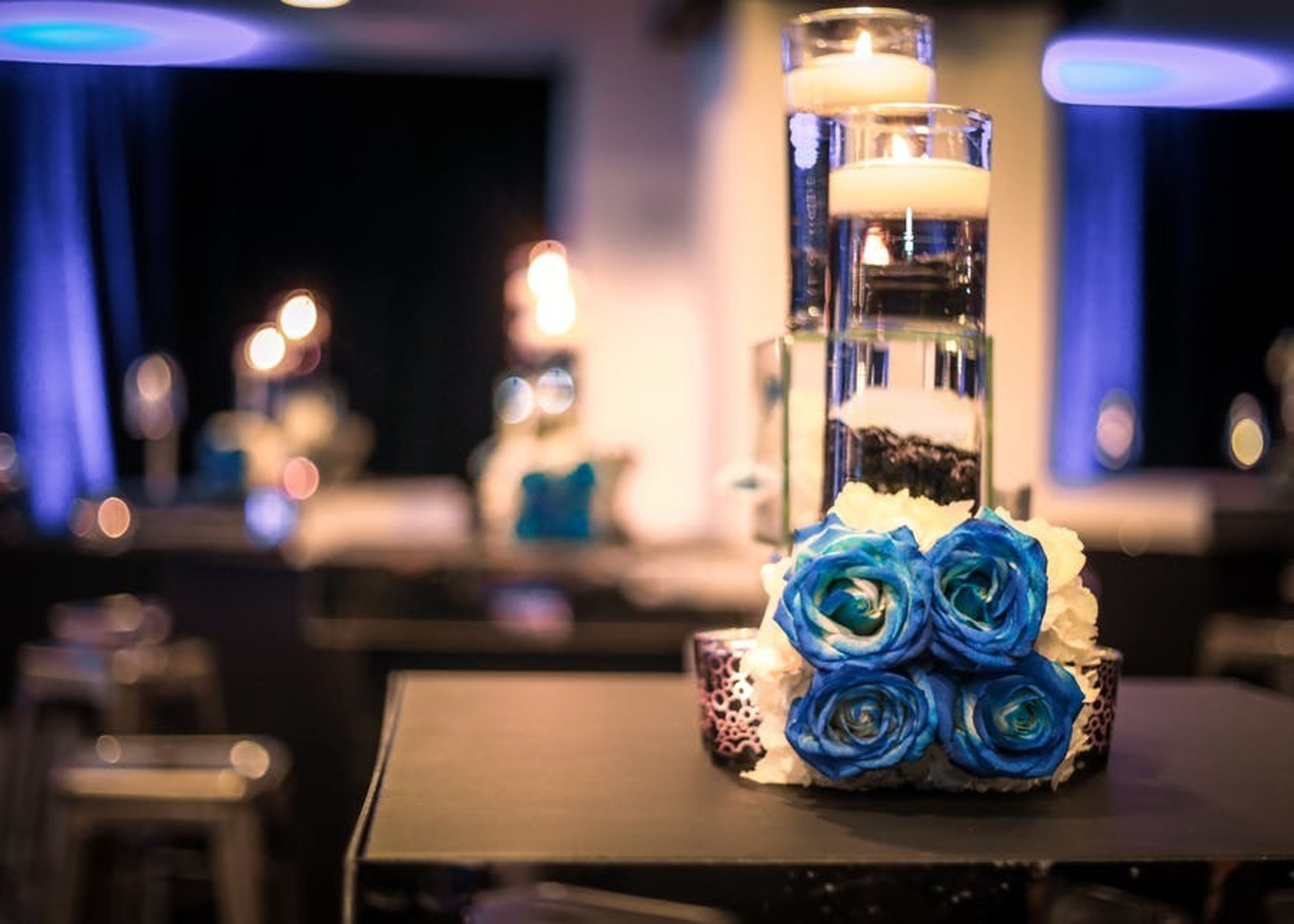 Cover photo of Dina Bustin Photography