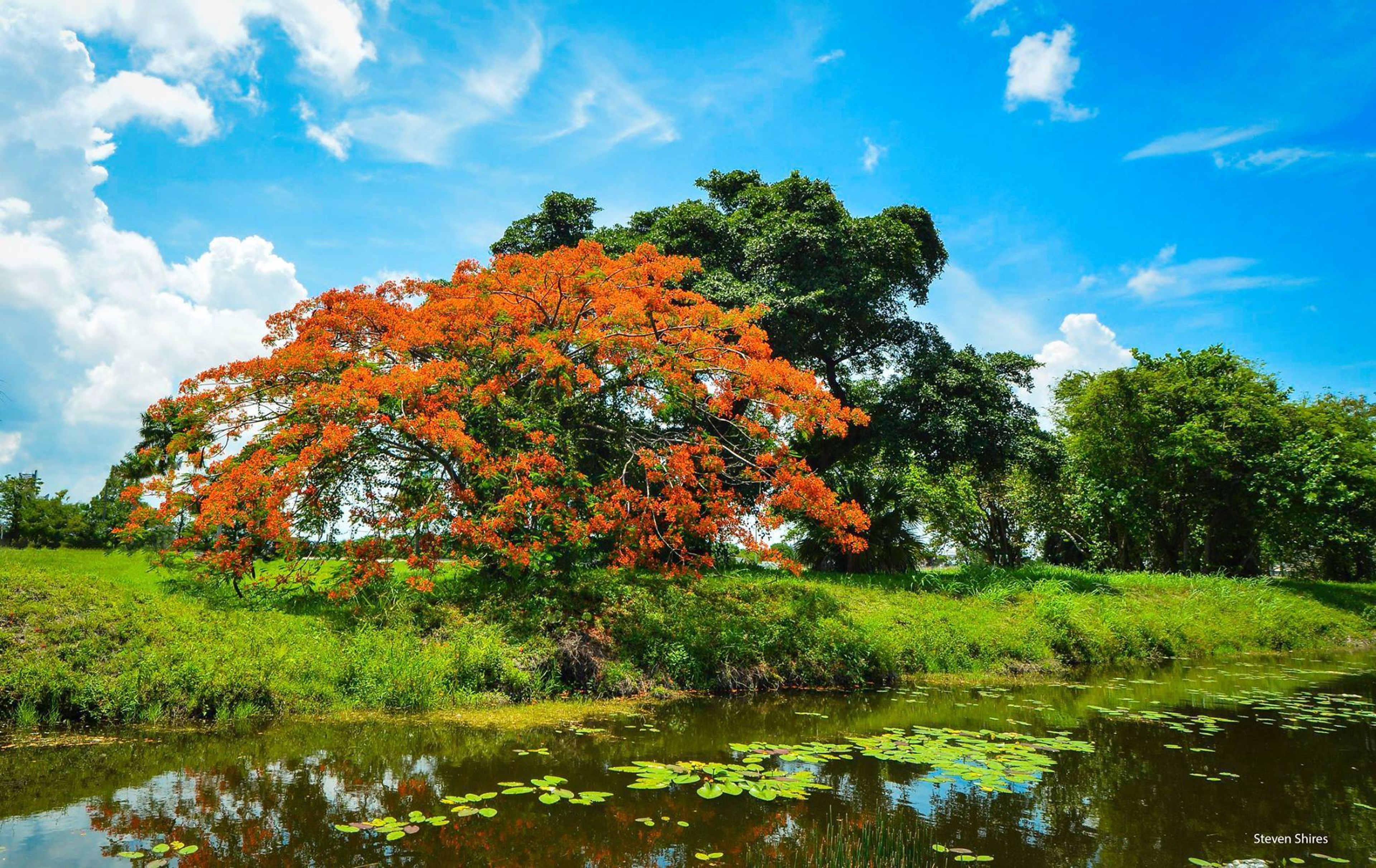 Cover photo of Steven Shires Photography