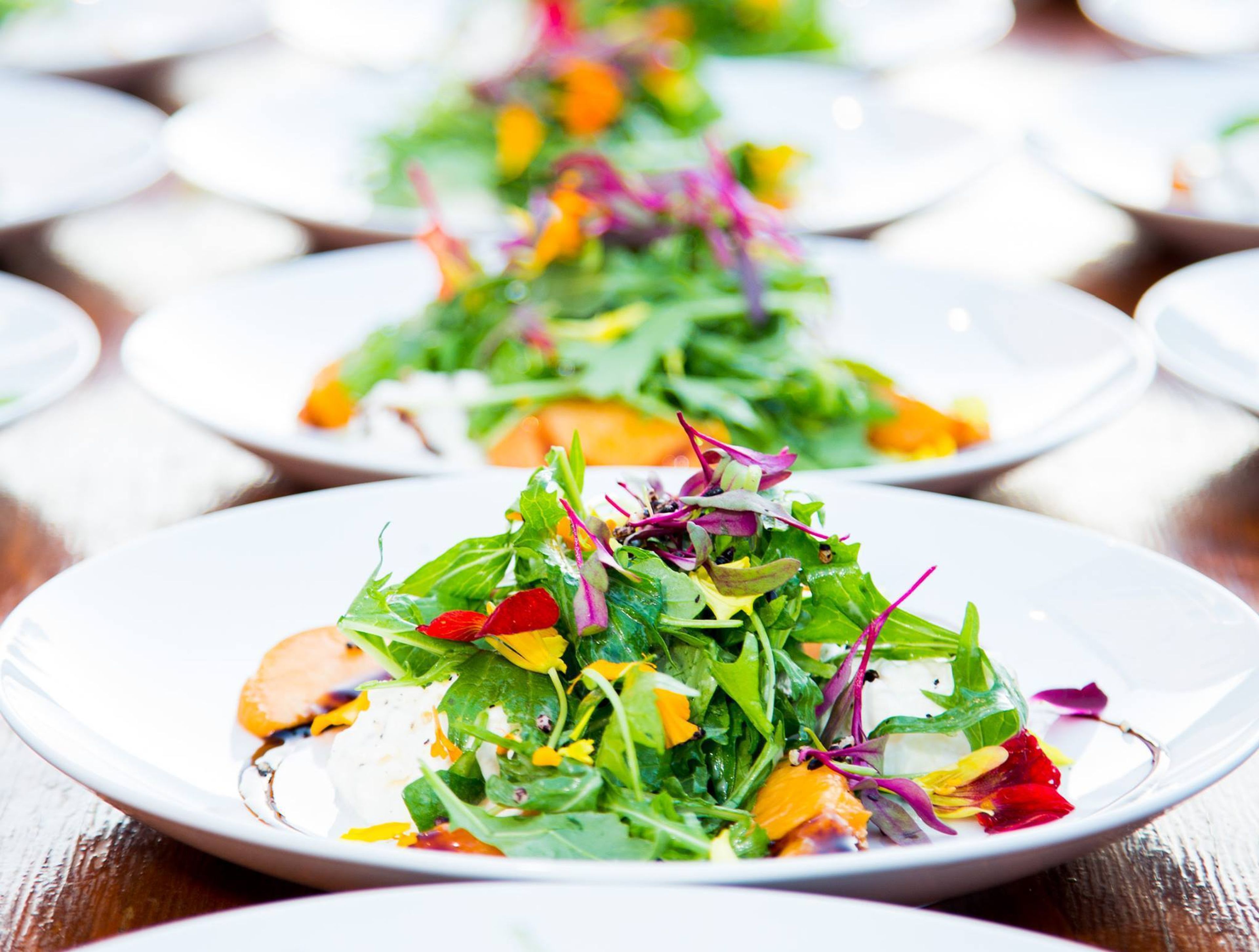 Cover photo of Oak Avenue Catering