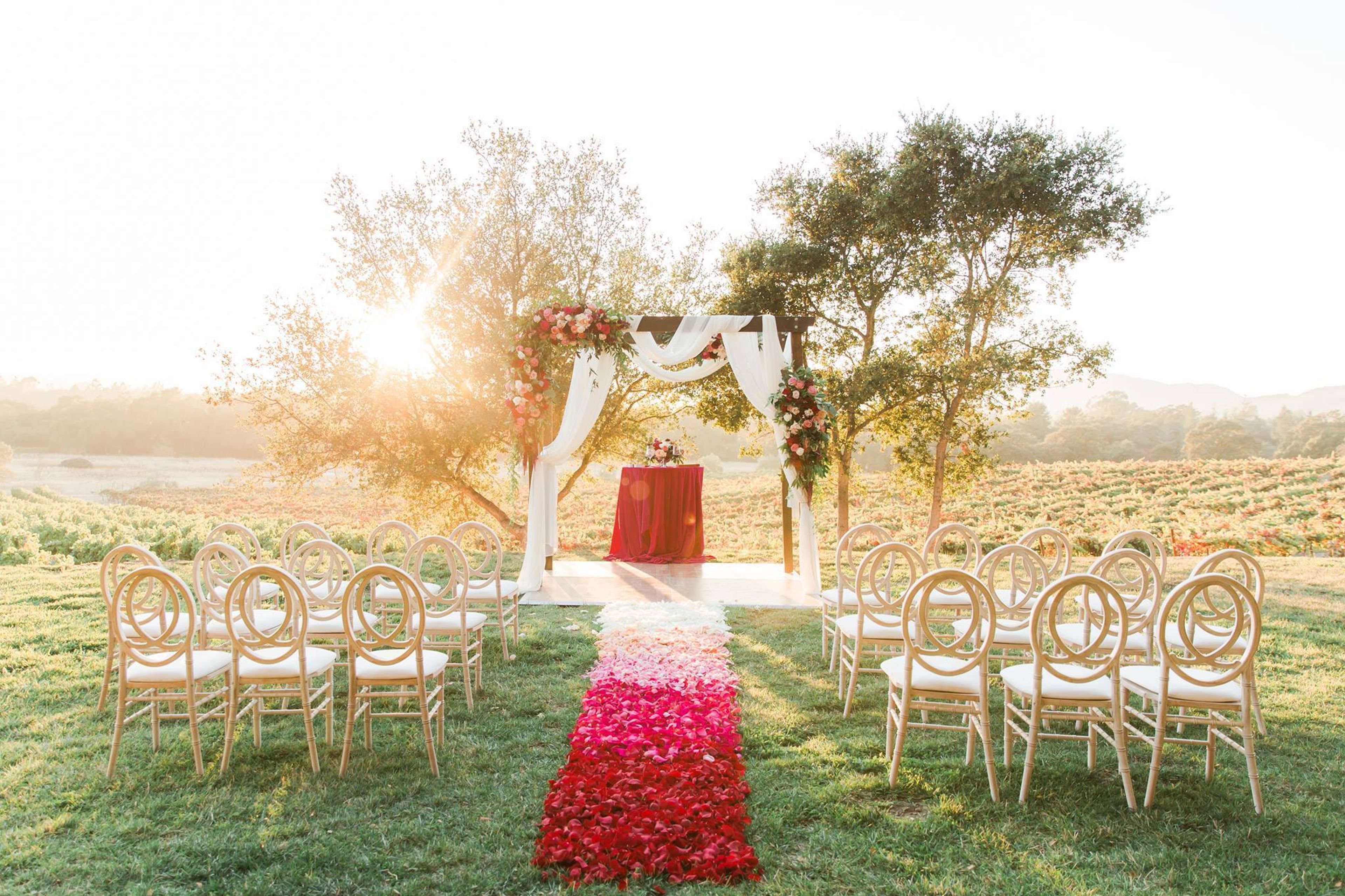 Cover photo of Tyler Chase Collective