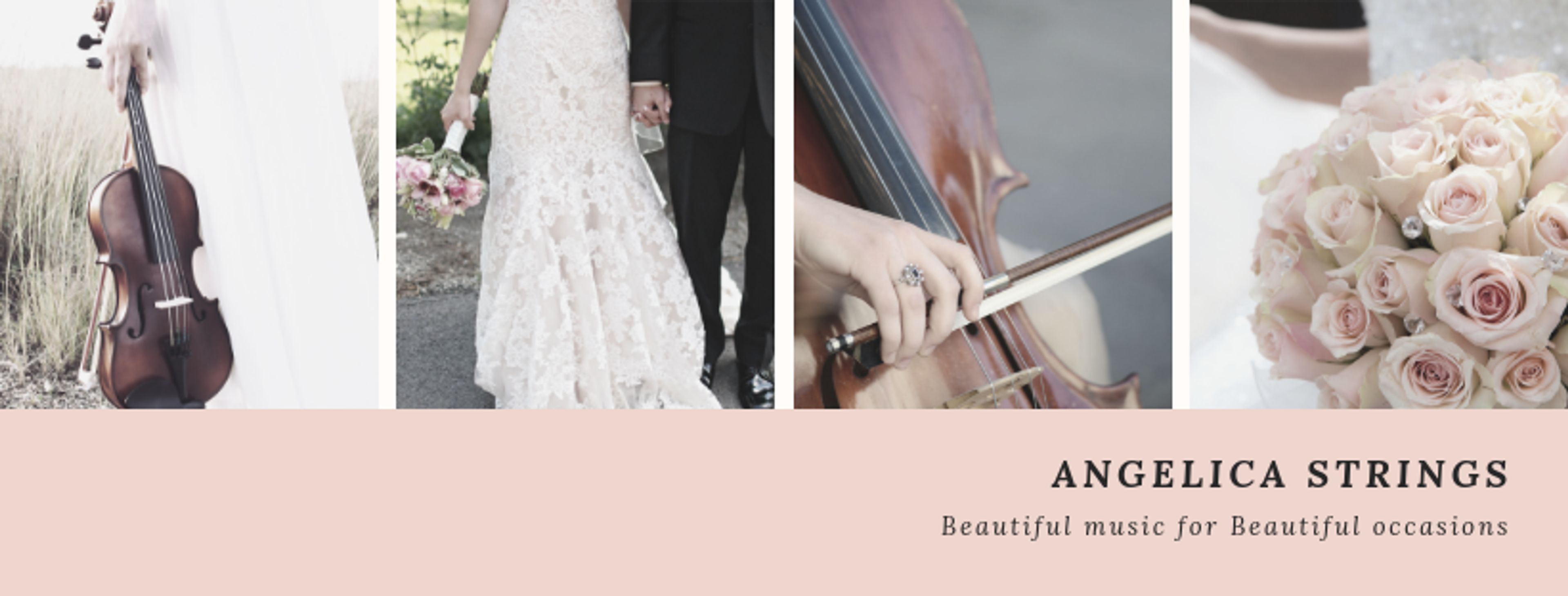 Cover photo of Angelica Strings