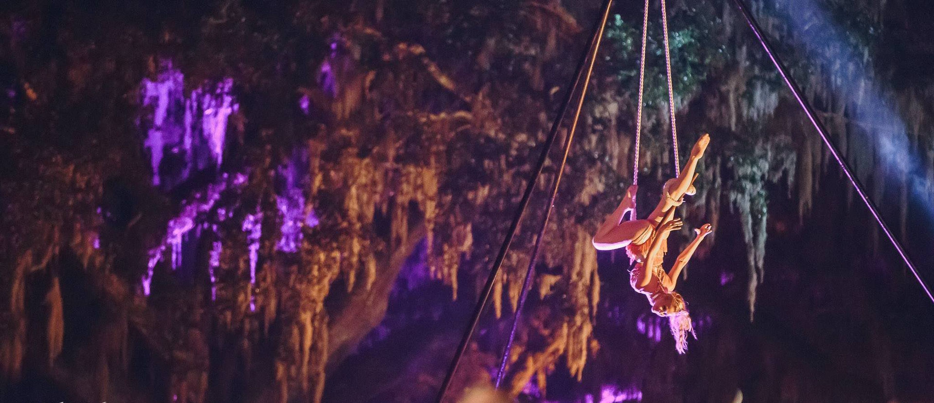 Cover photo of Elevate