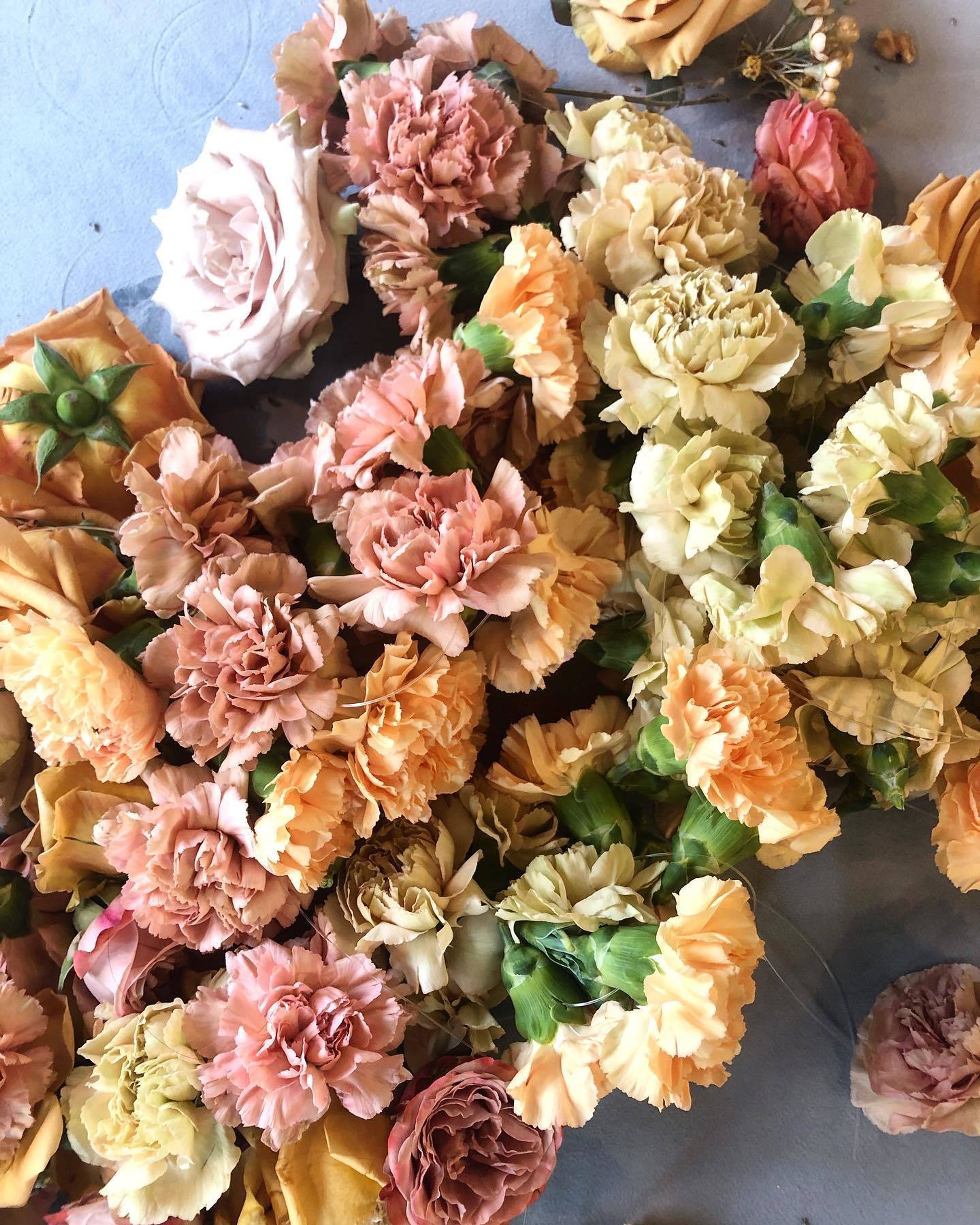 Cover photo of Love Struck Blooms