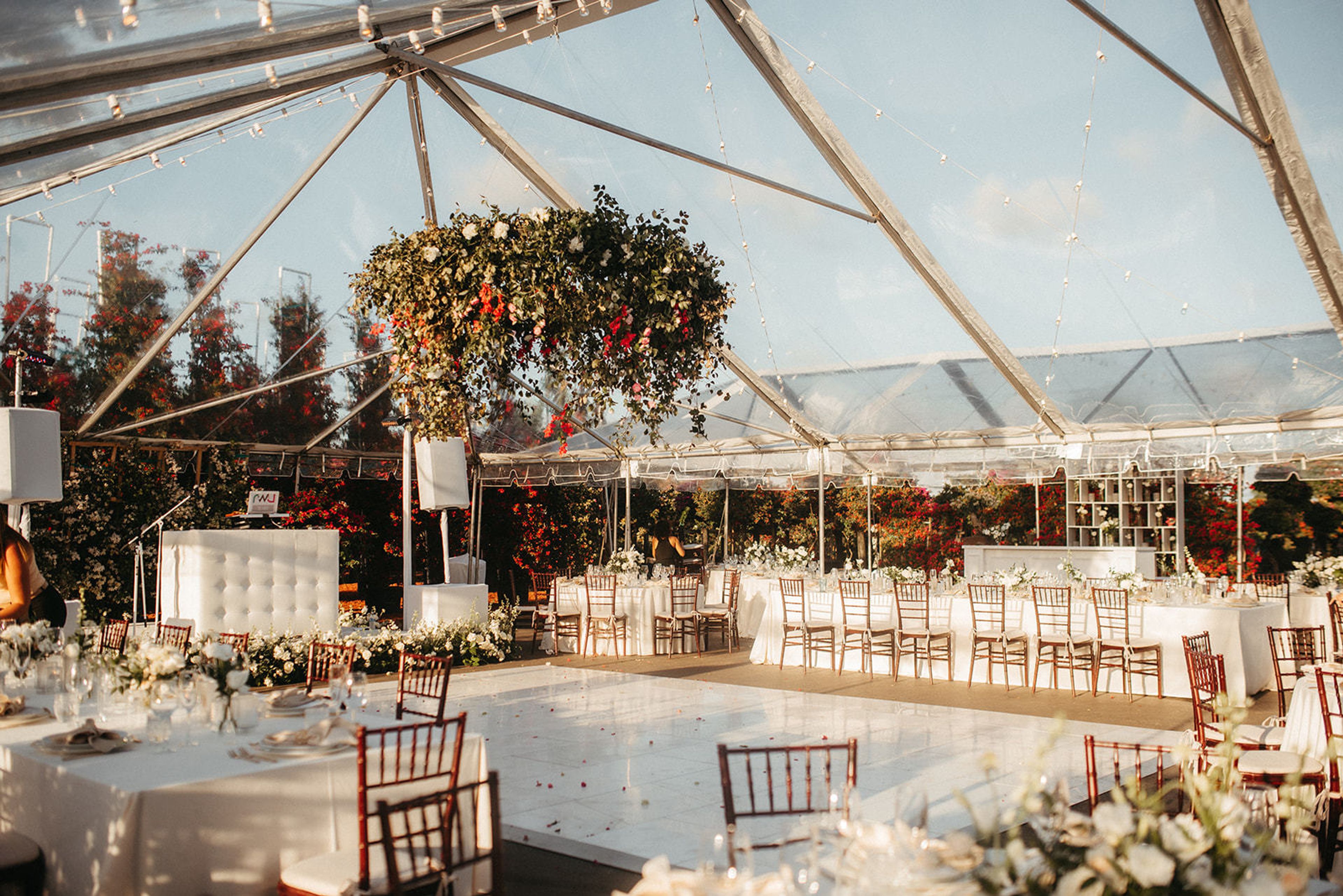 Cover photo of 59 & Bluebell Events