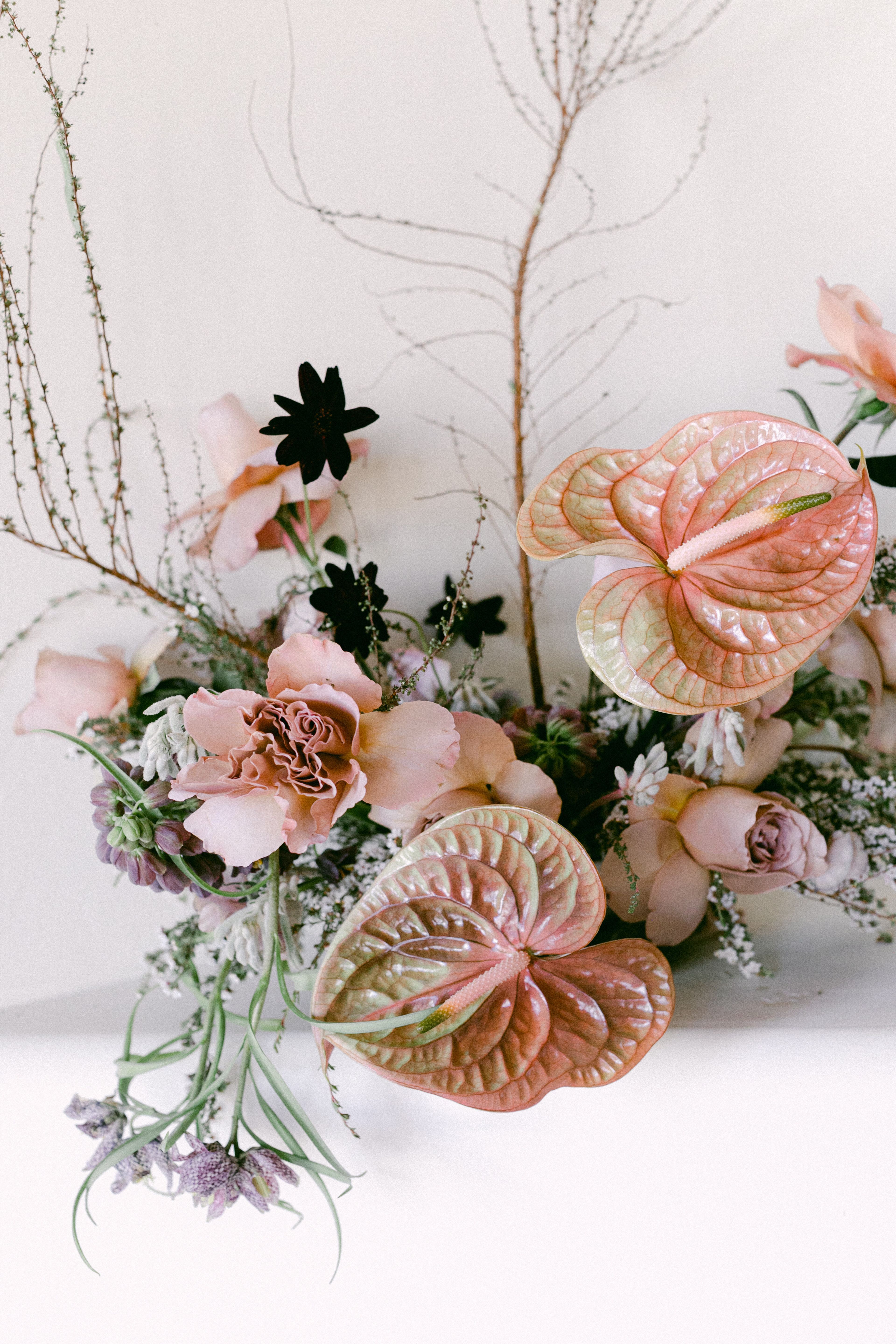 Cover photo of The Wildflower AZ