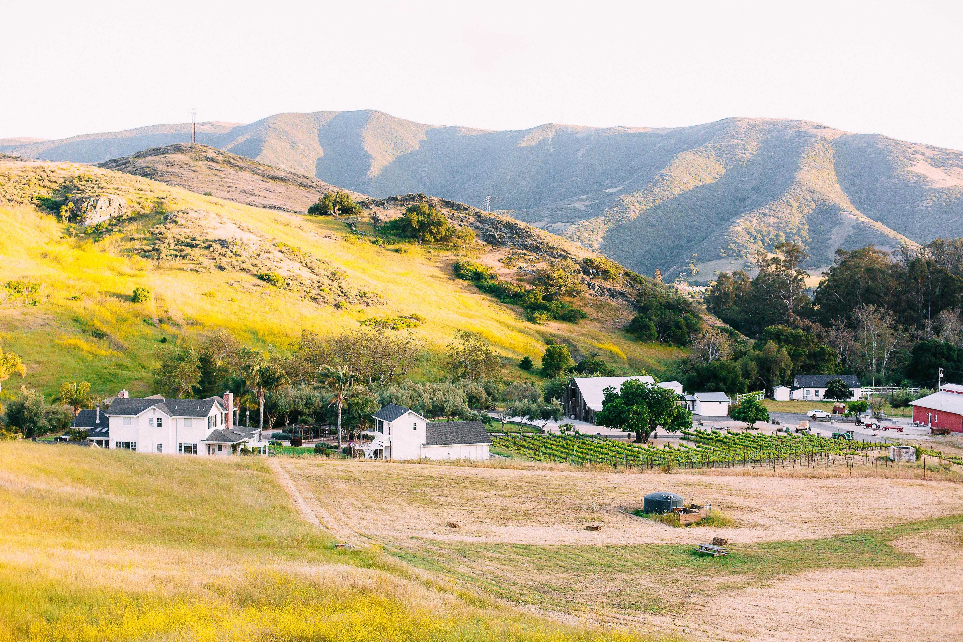 Cover photo of Higuera Ranch