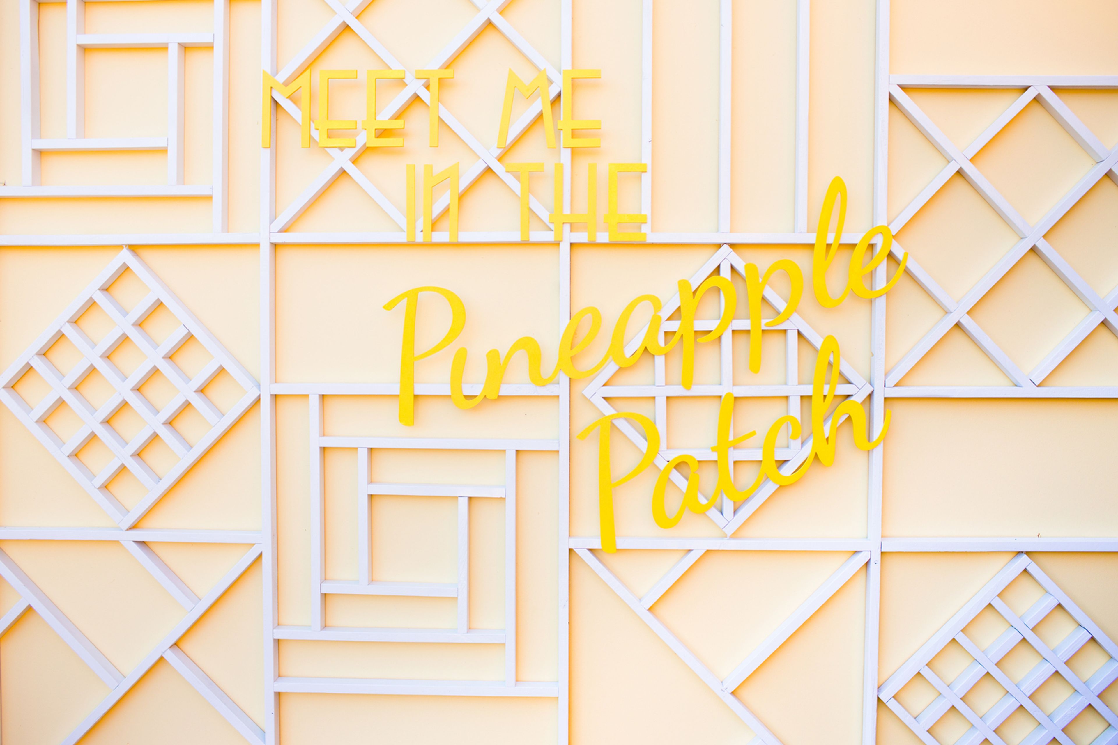 Cover photo of Back Up Backdrops