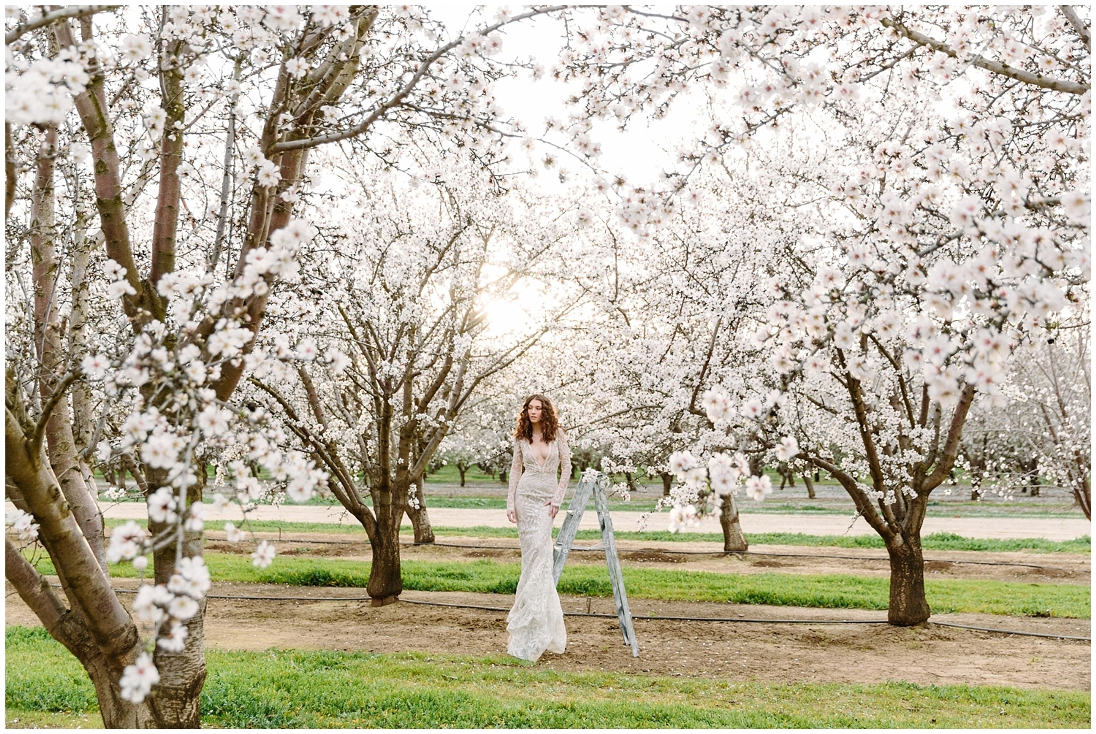 Cover photo of Larissa Cleveland Photography