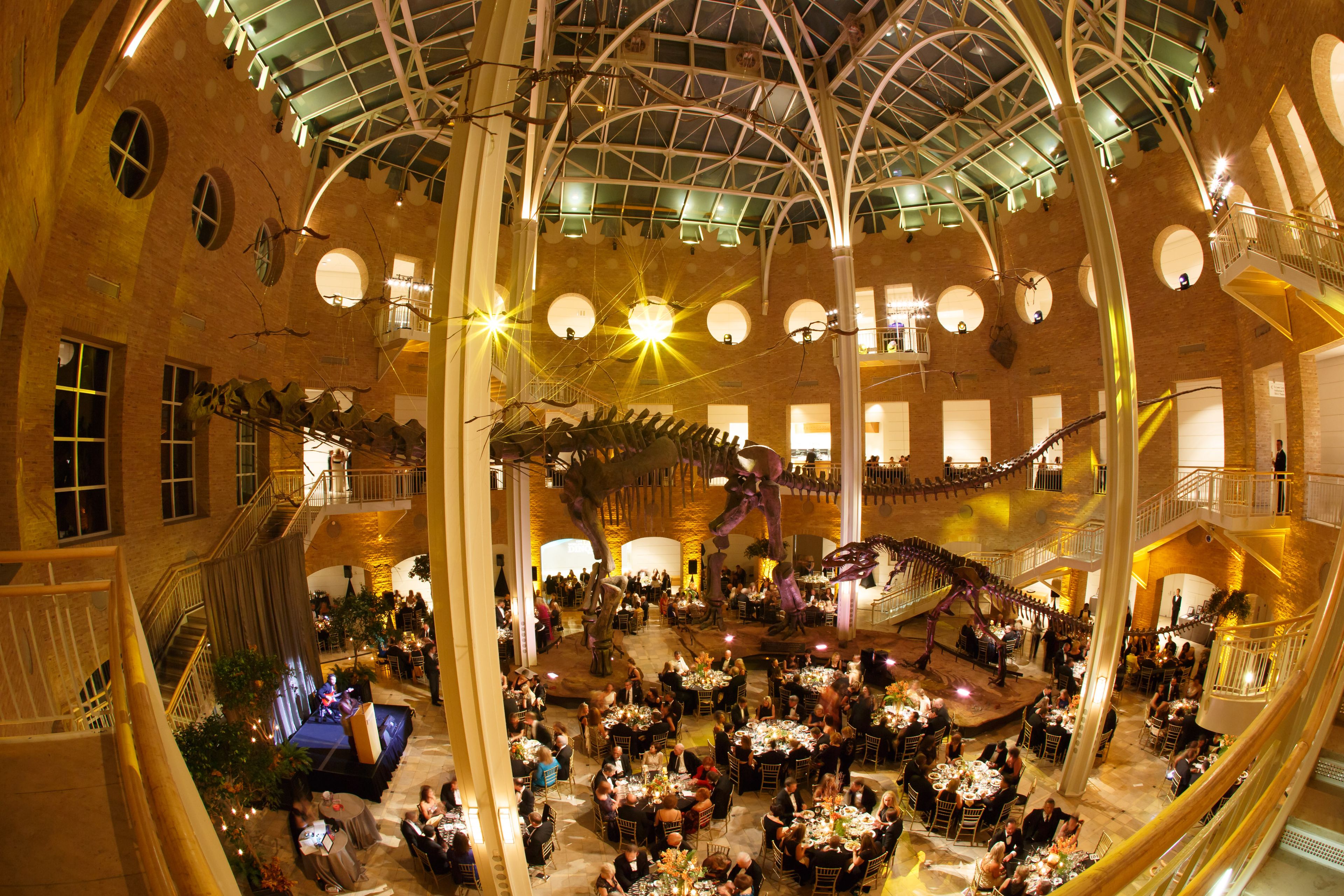 Cover photo of Fernbank Museum of Natural History