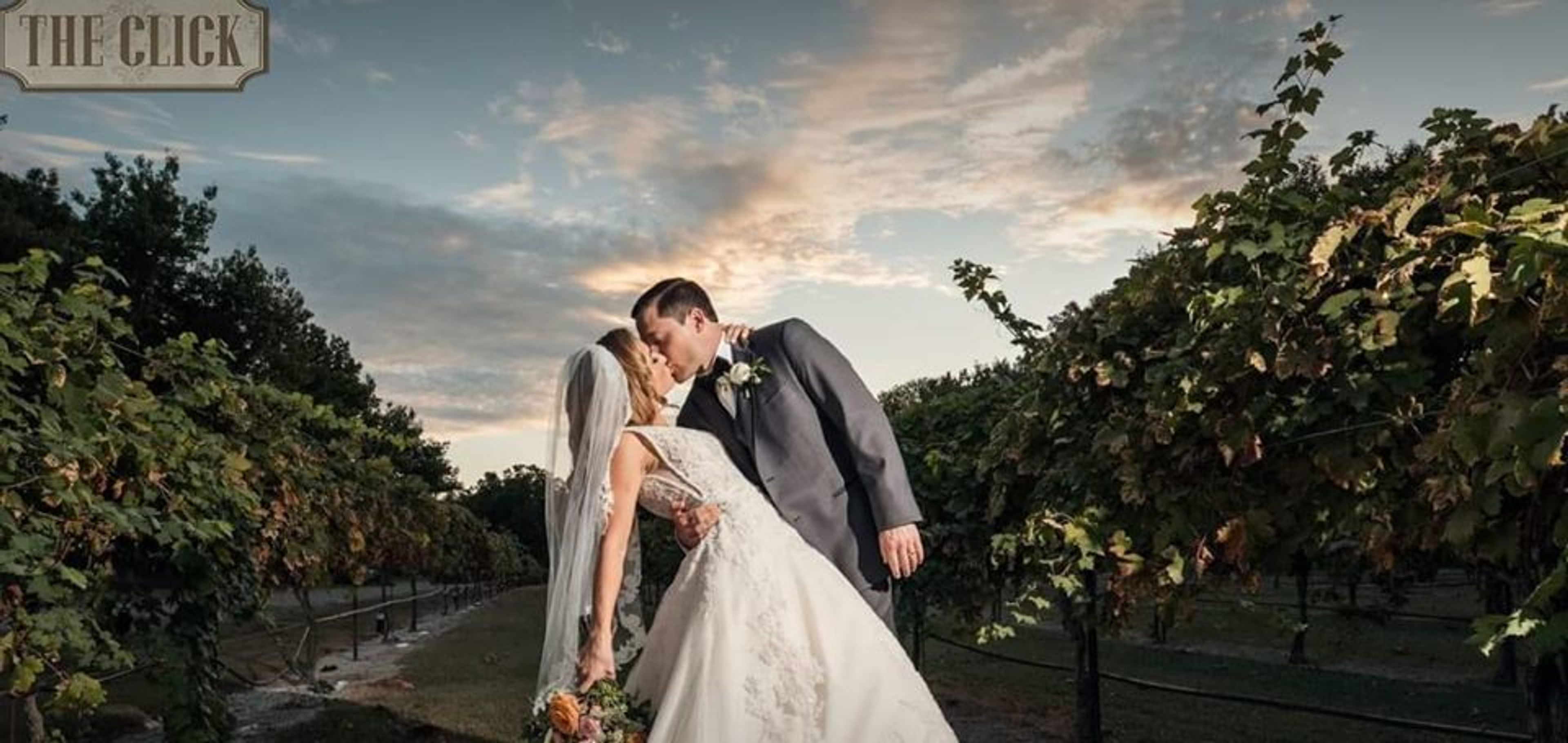 Cover photo of Mitas Hill Vineyard