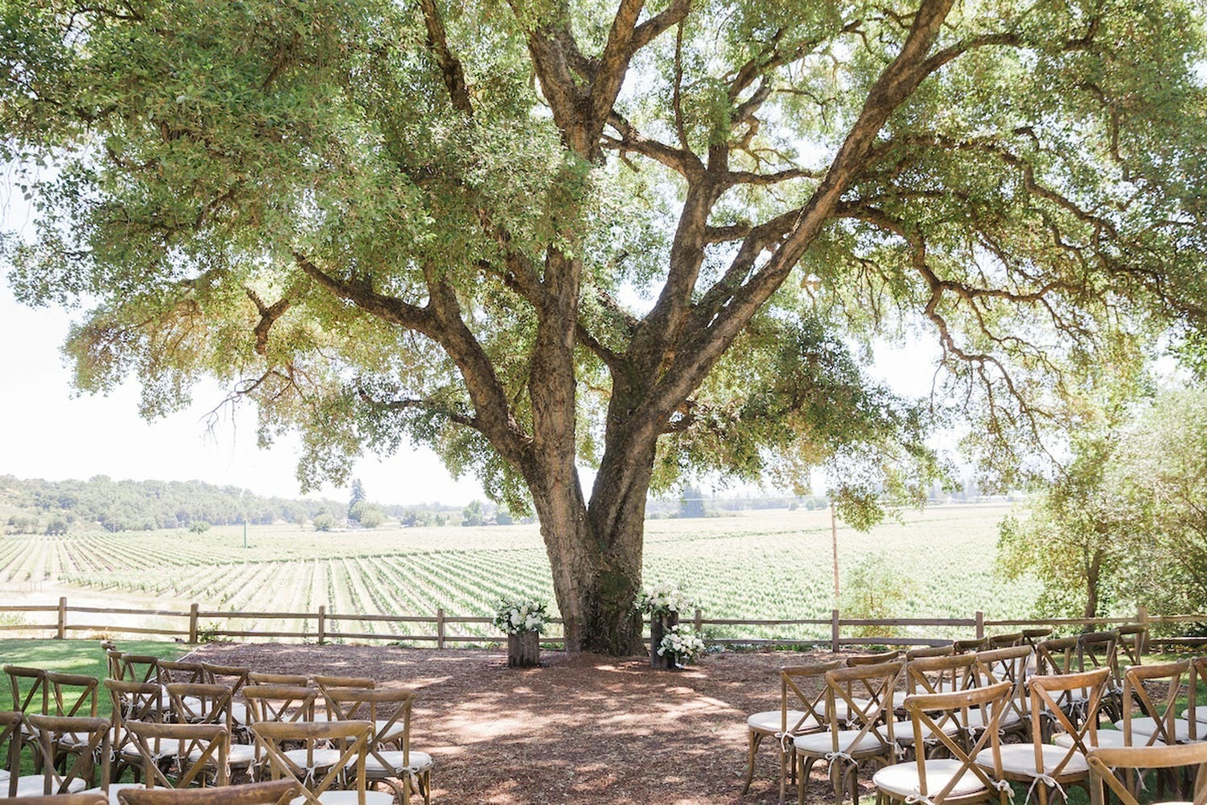 Cover photo of Ru's Farm