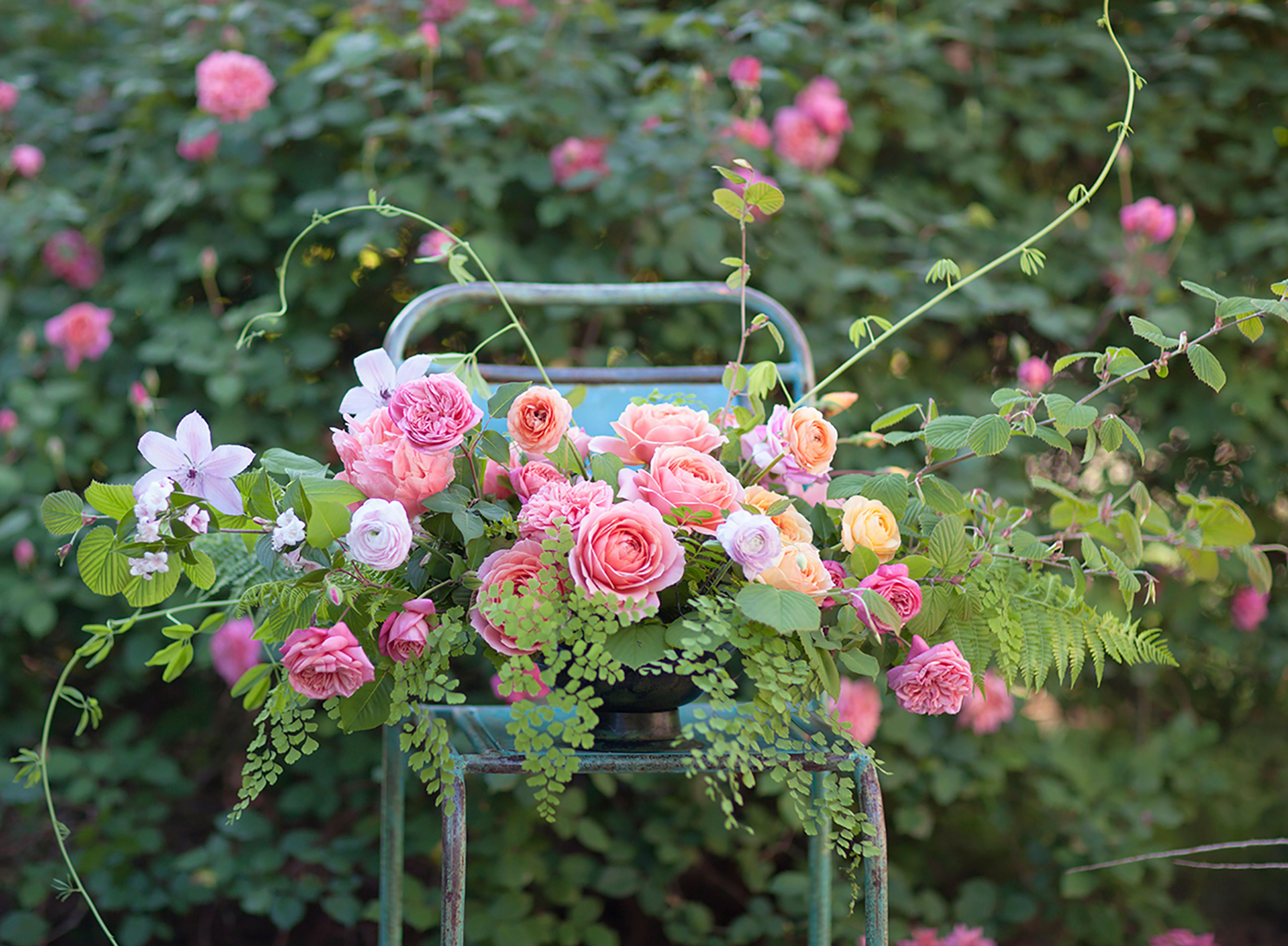 Cover photo of Florali