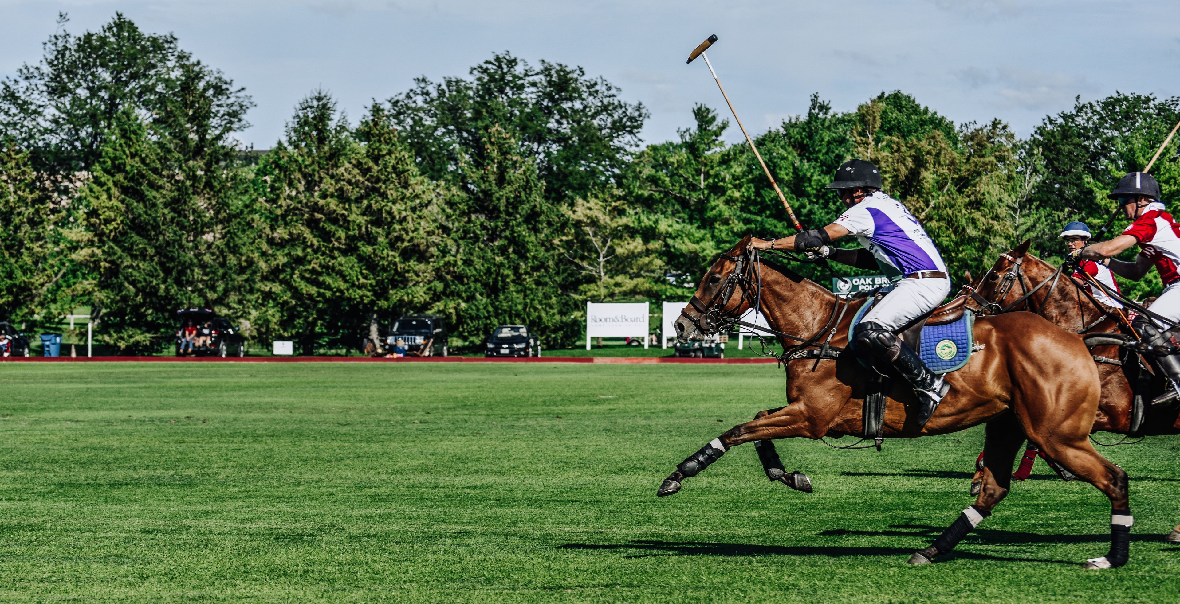 Cover photo of Oak Brook Polo Club