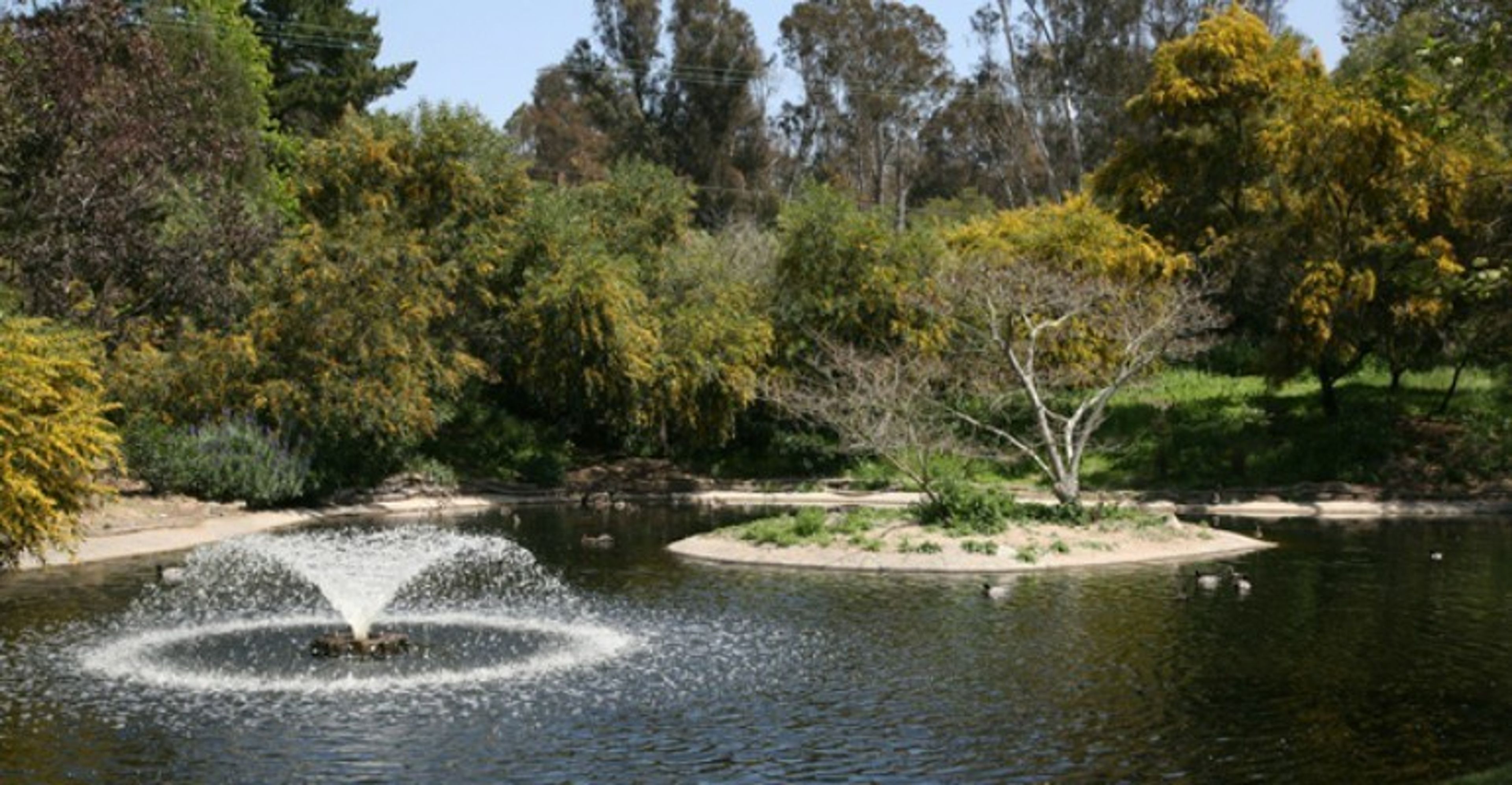 Cover photo of San Dieguito County Park
