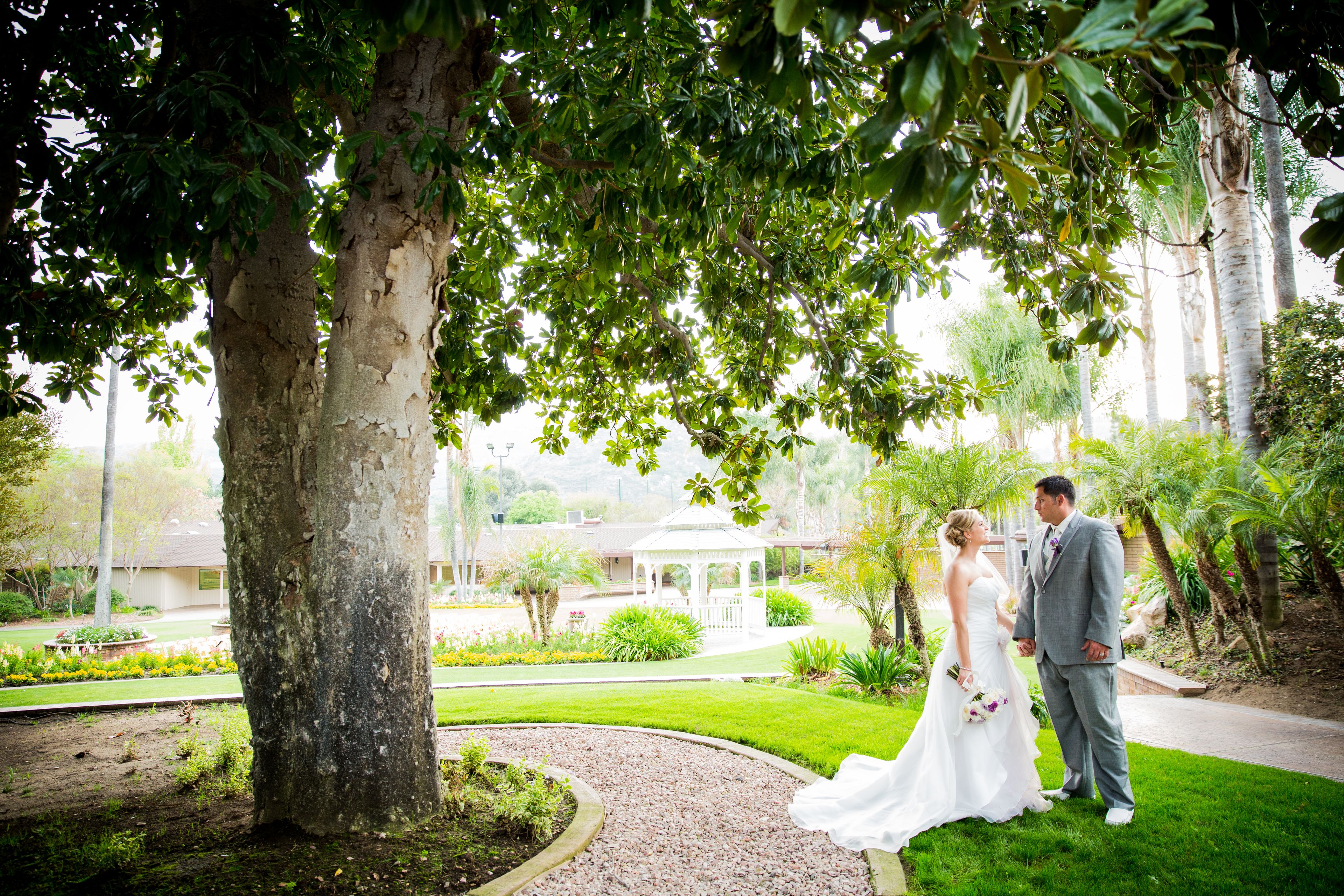 Cover photo of Sycuan Golf Resort