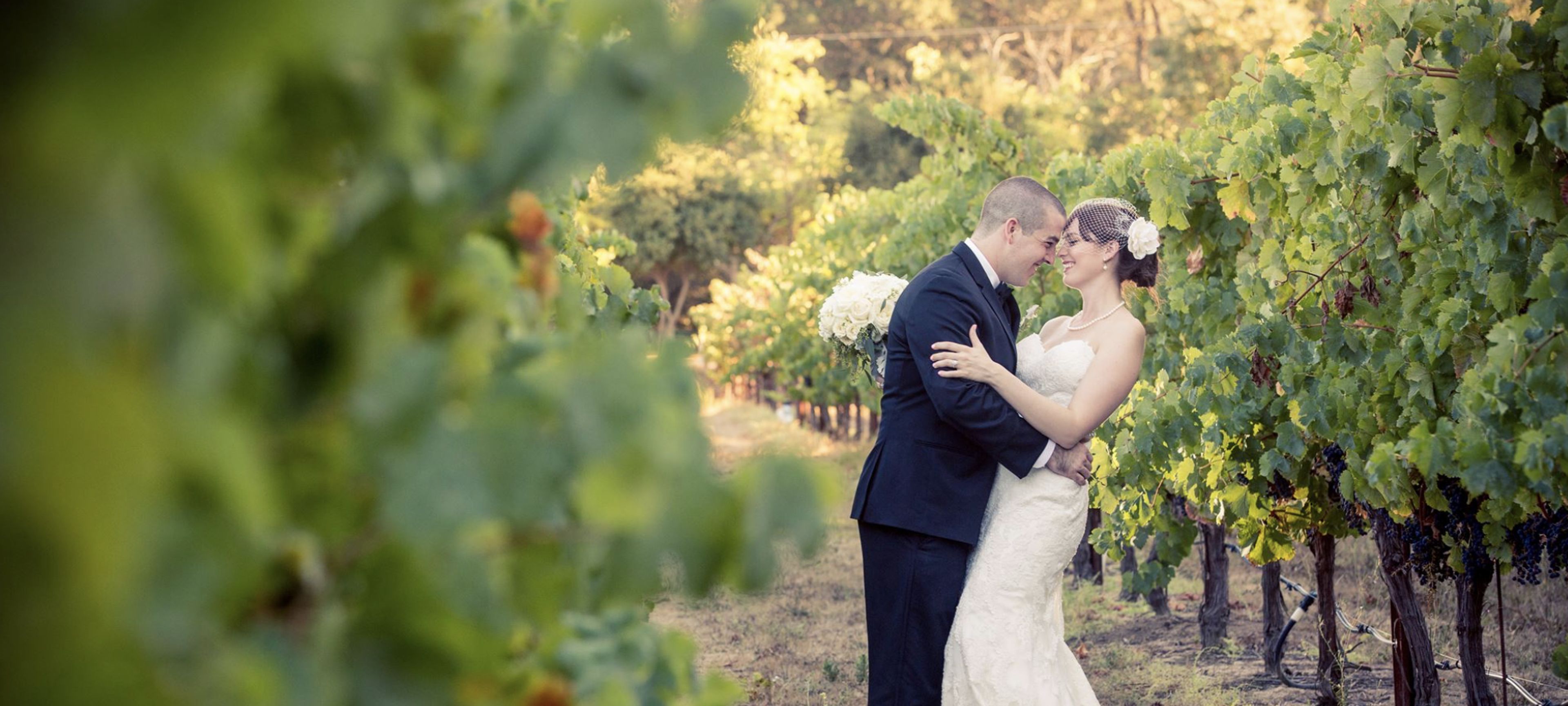 Cover photo of Fairview Napa