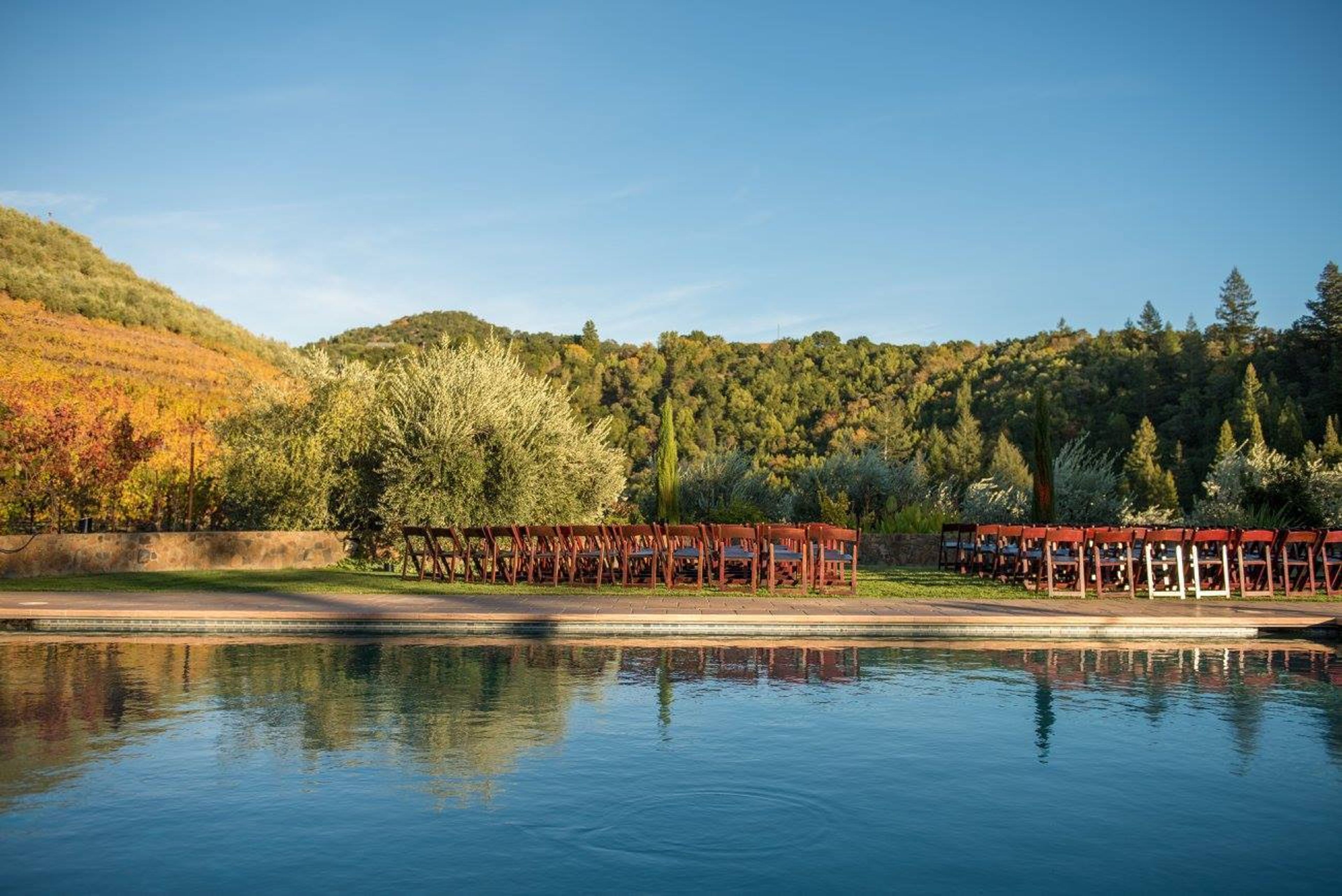 Cover photo of Petroni Vineyards