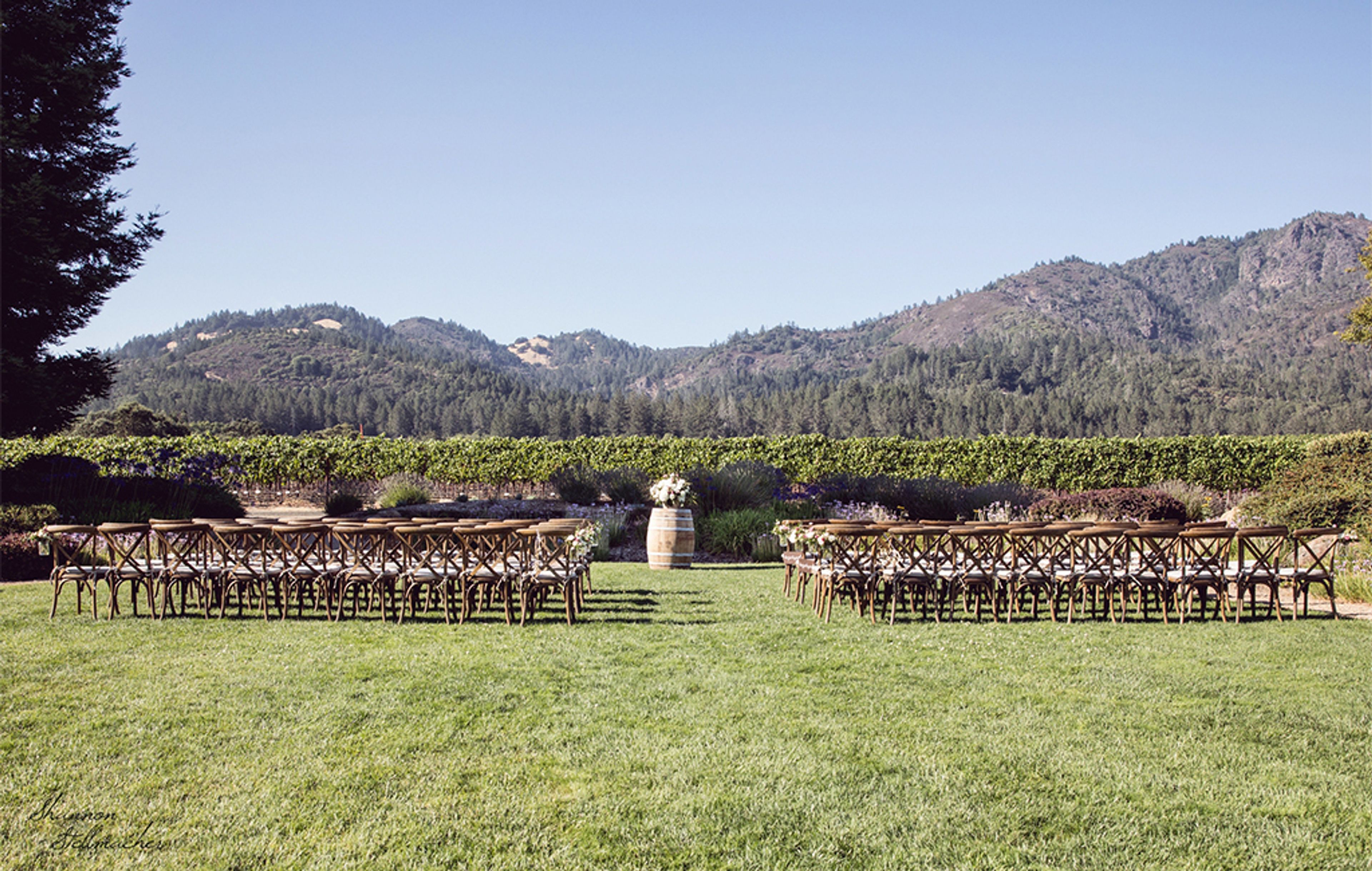 Cover photo of St. Francis Winery & Vineyards