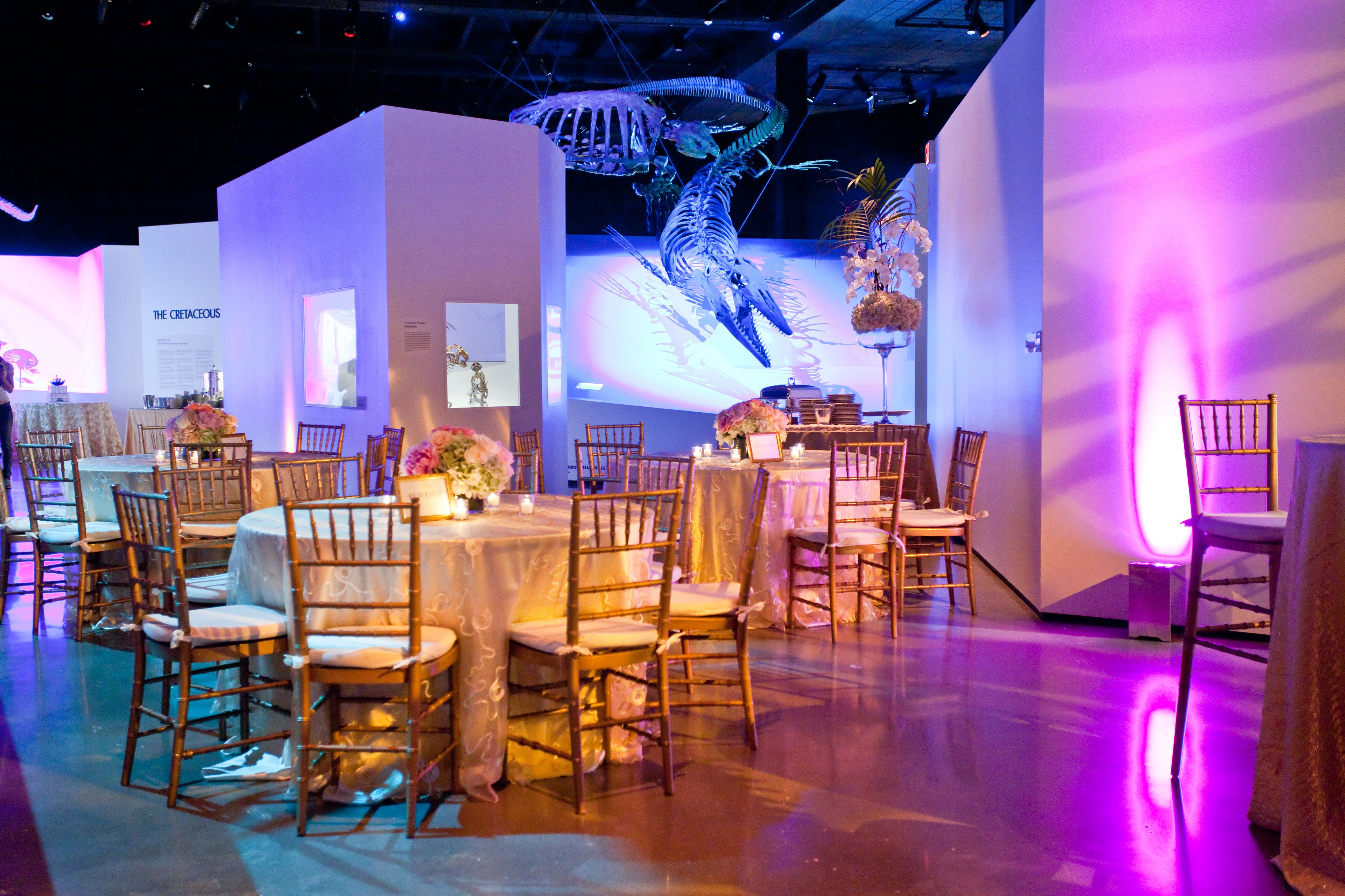 Cover photo of Houston Museum of Natural Science