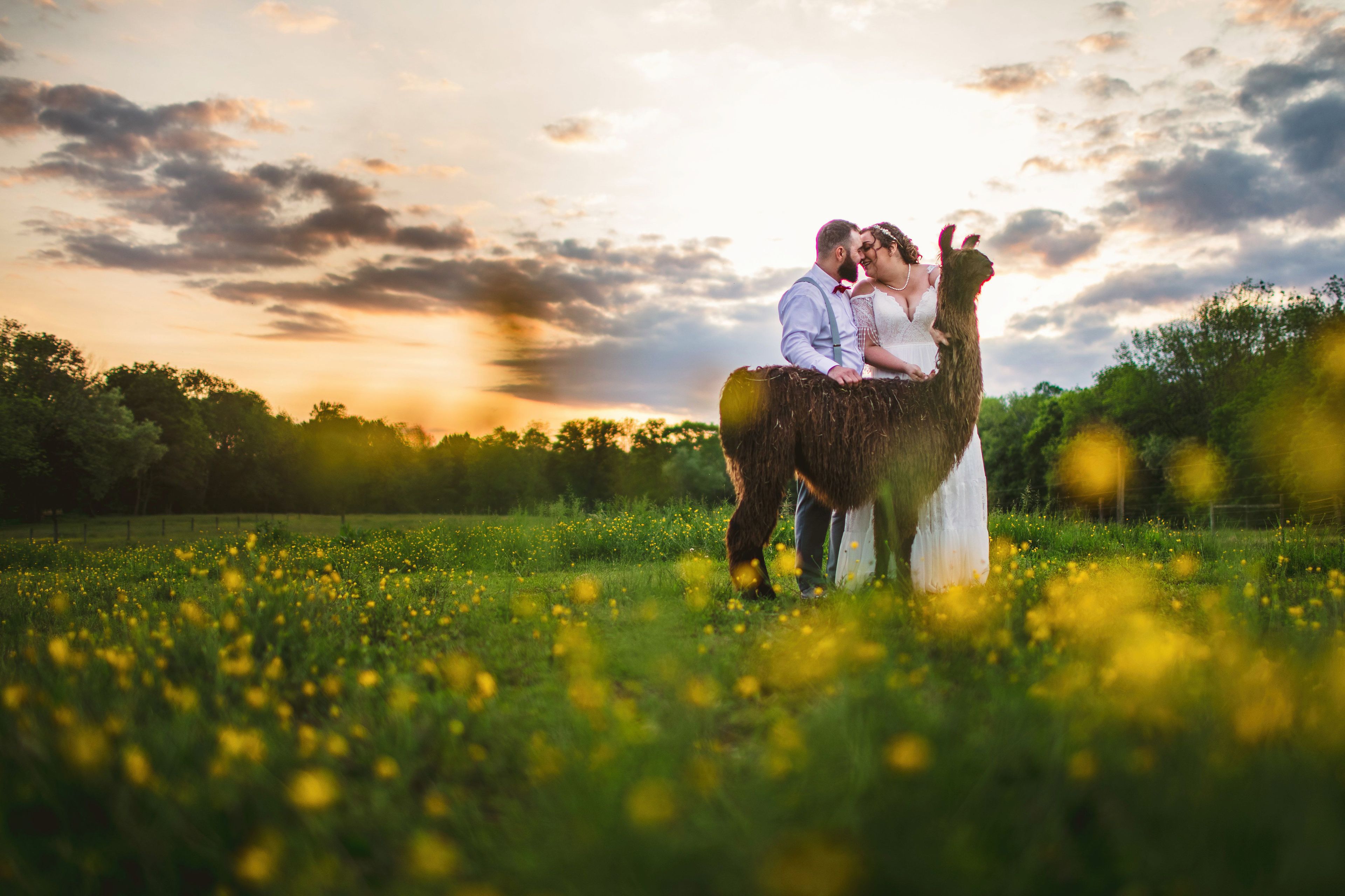 Cover photo of WoodsEdge Farm Weddings & Events