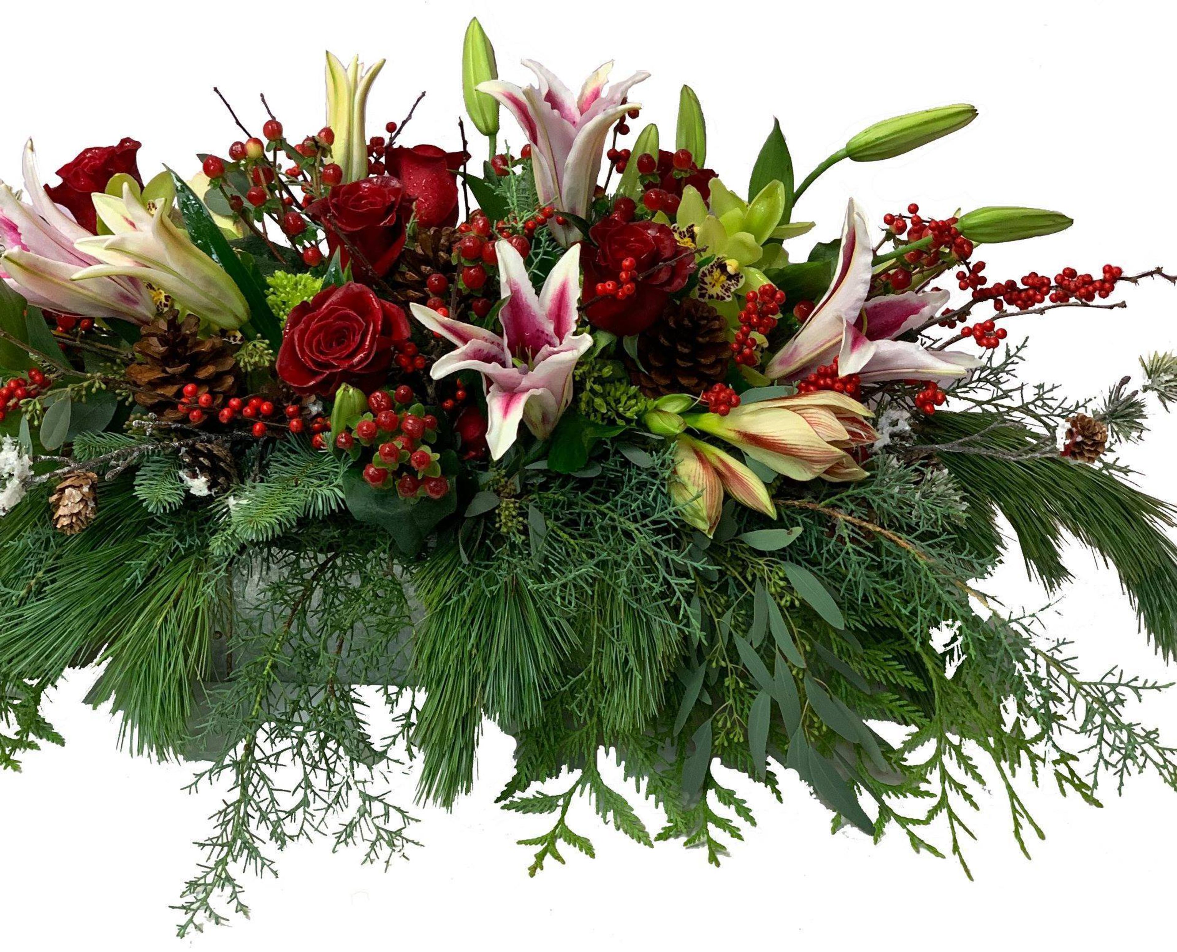 Cover photo of Foxgloves & Ivy