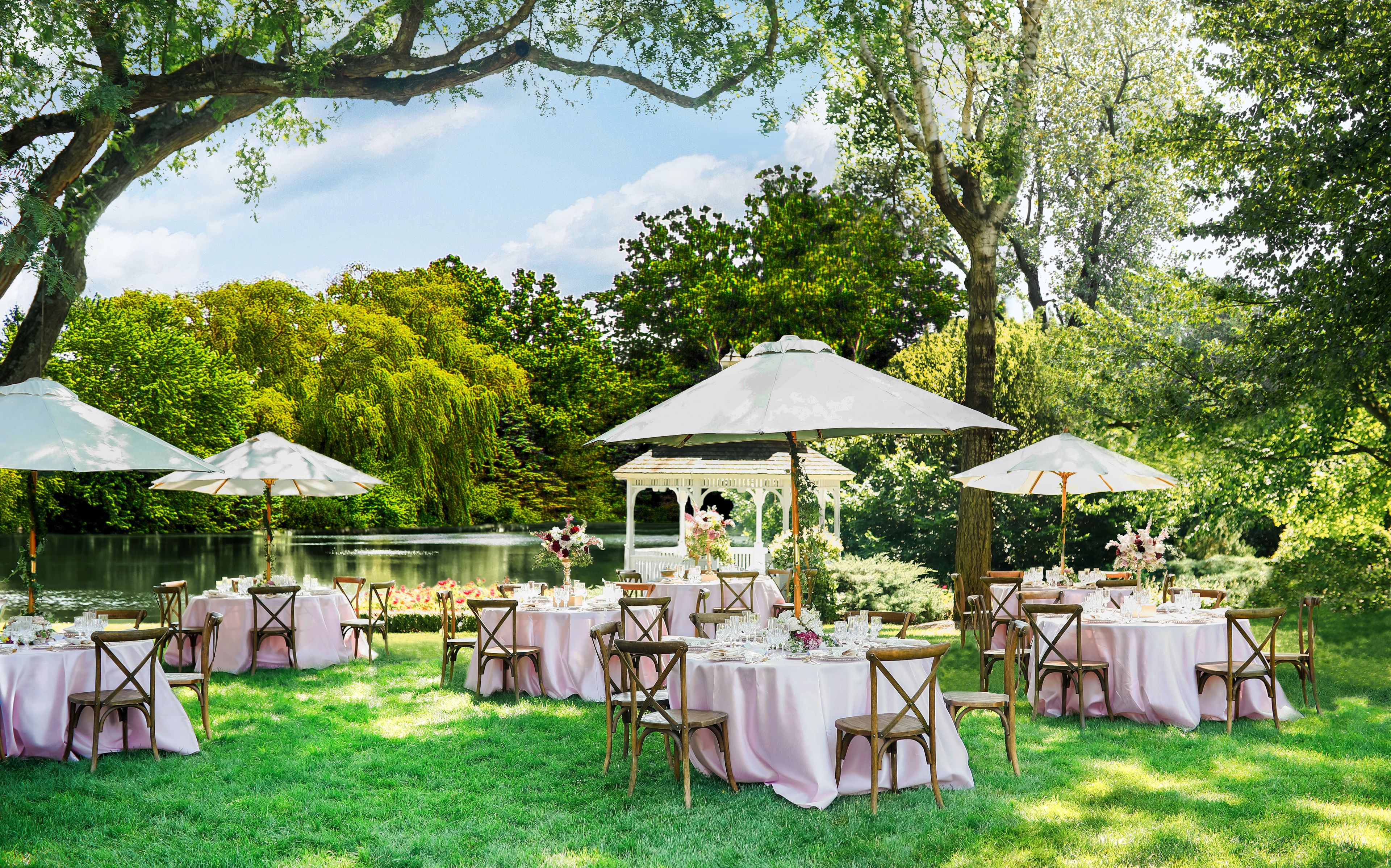 Cover photo of Wandering Tree Estate