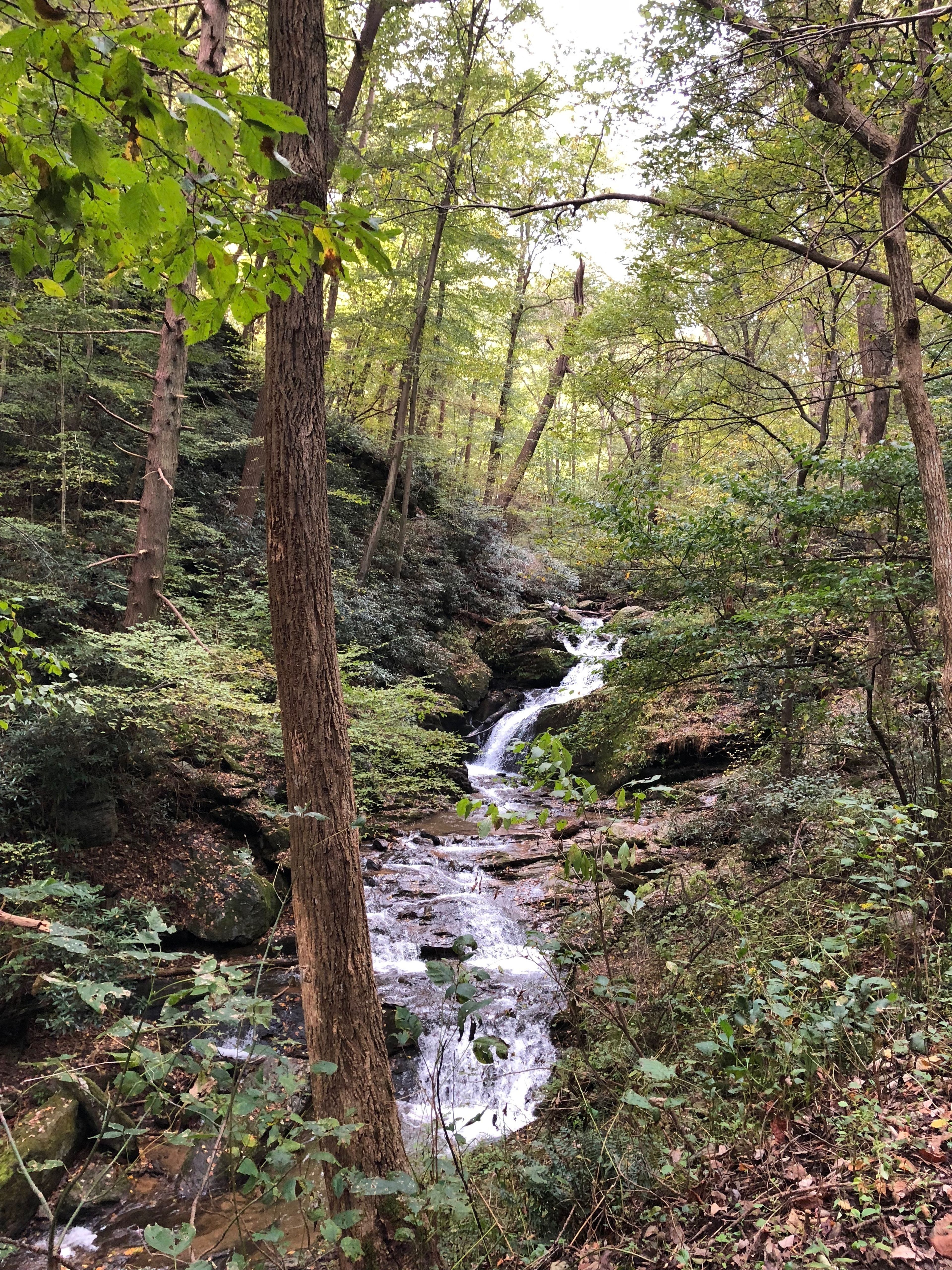 Cover photo of Mill Creek Falls Retreat Center