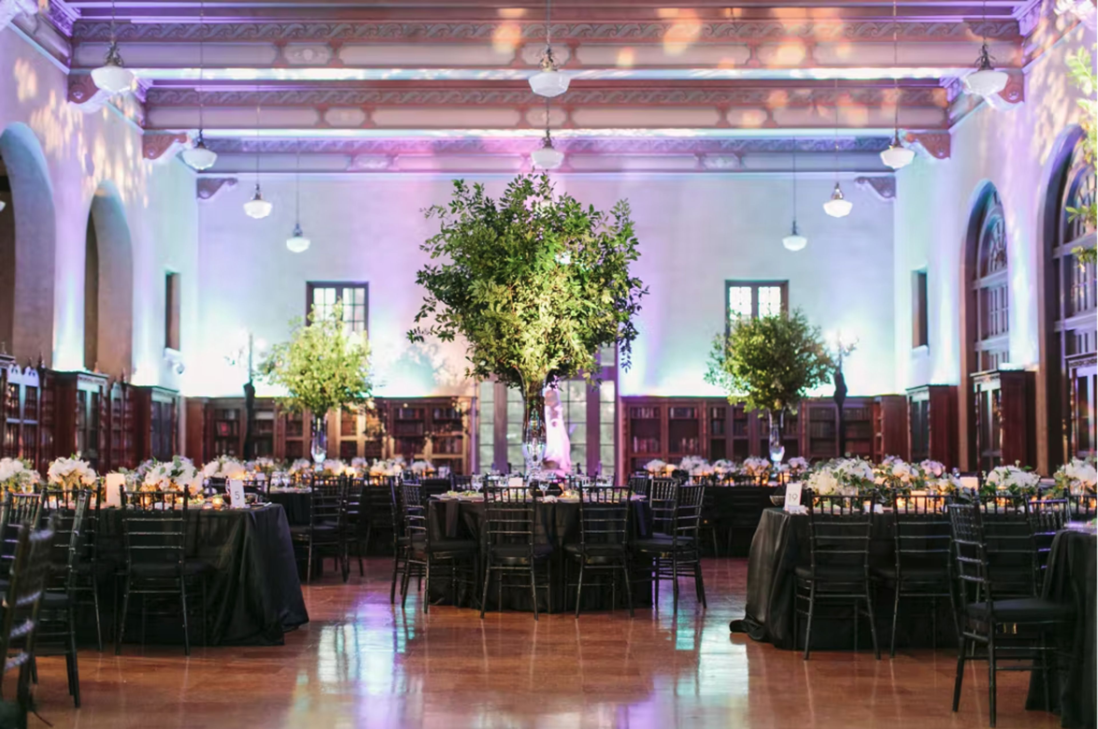 Cover photo of Julia Ideson Library