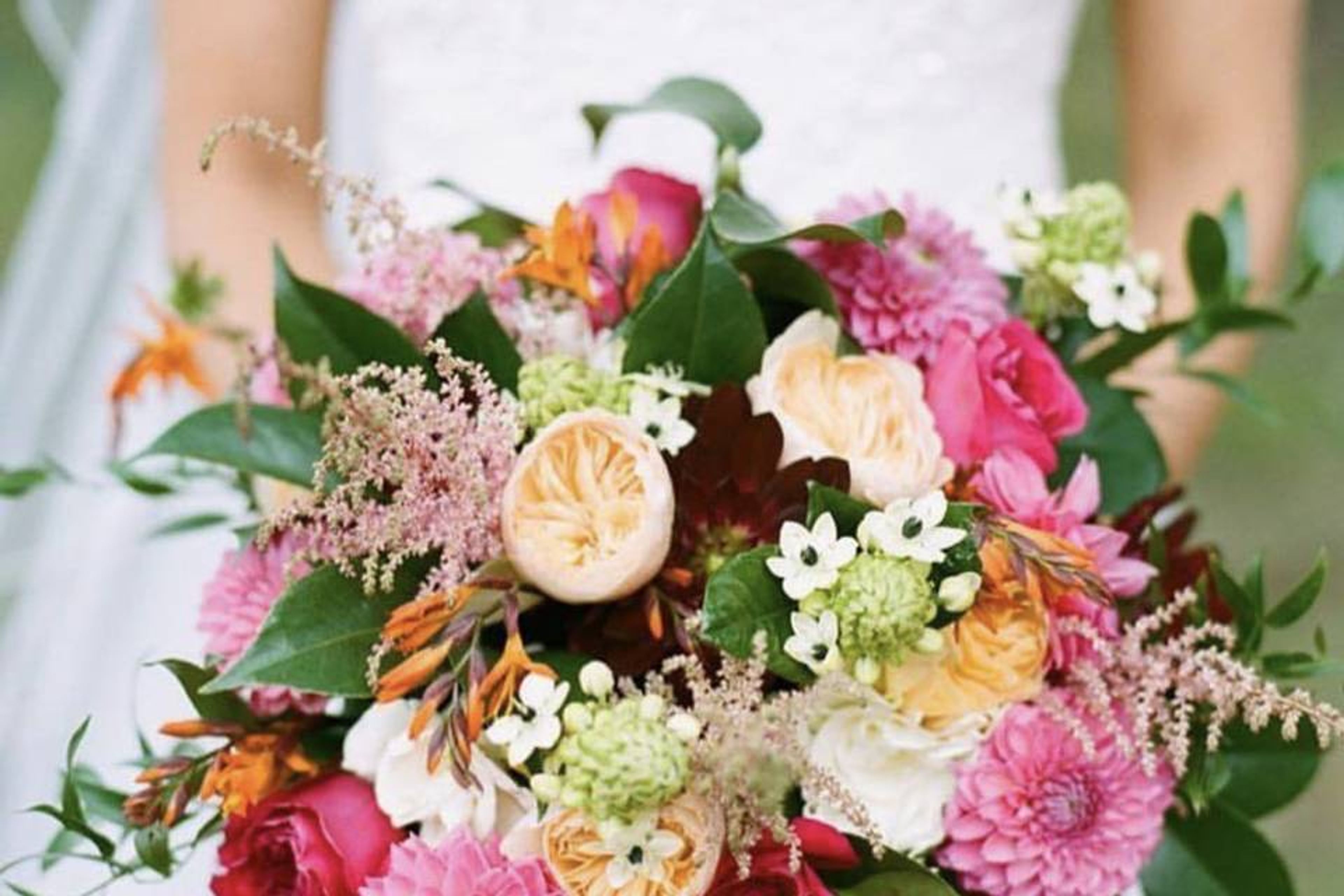 Cover photo of Philippa Tarrant Floral Design