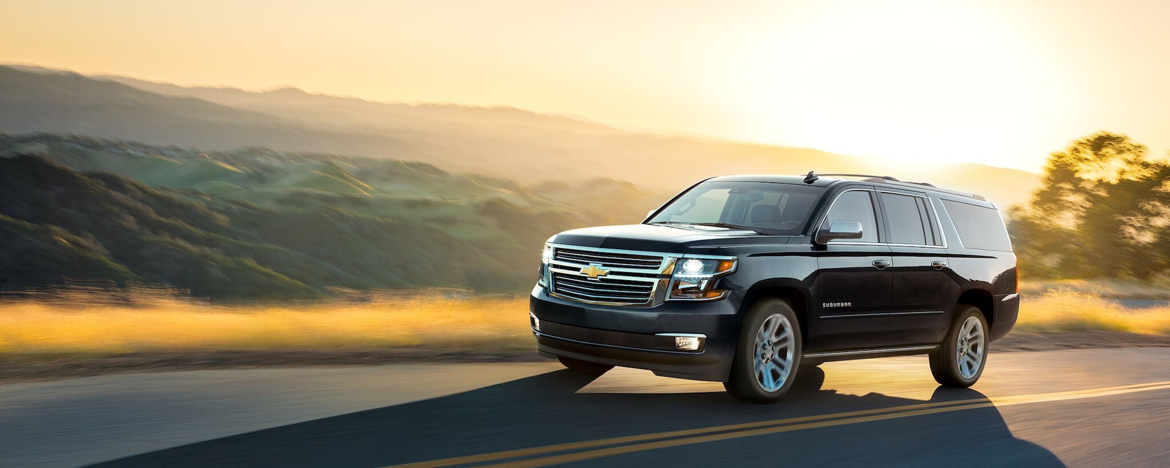 Cover photo of LION Transportation Services