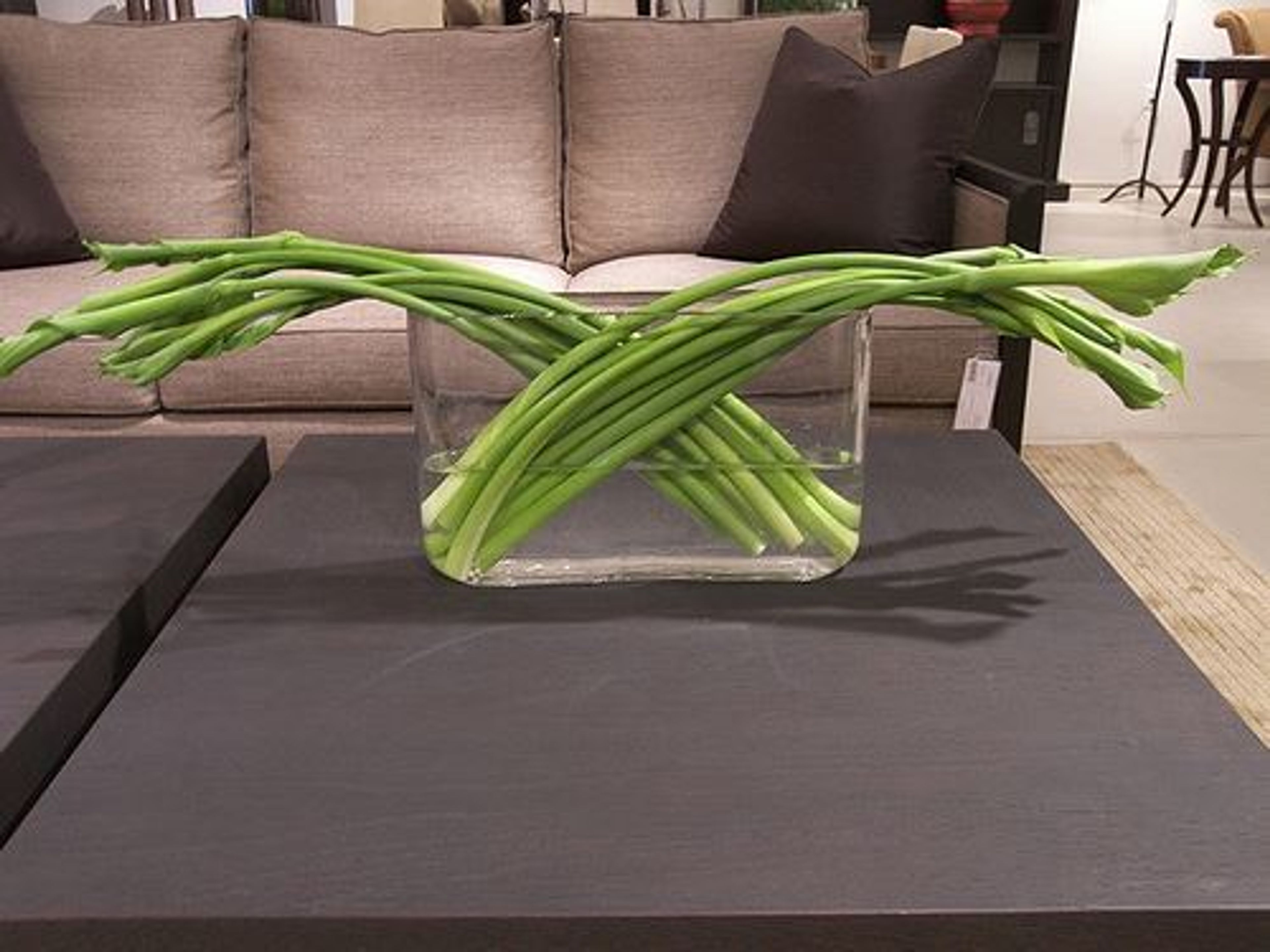 Cover photo of Volanni