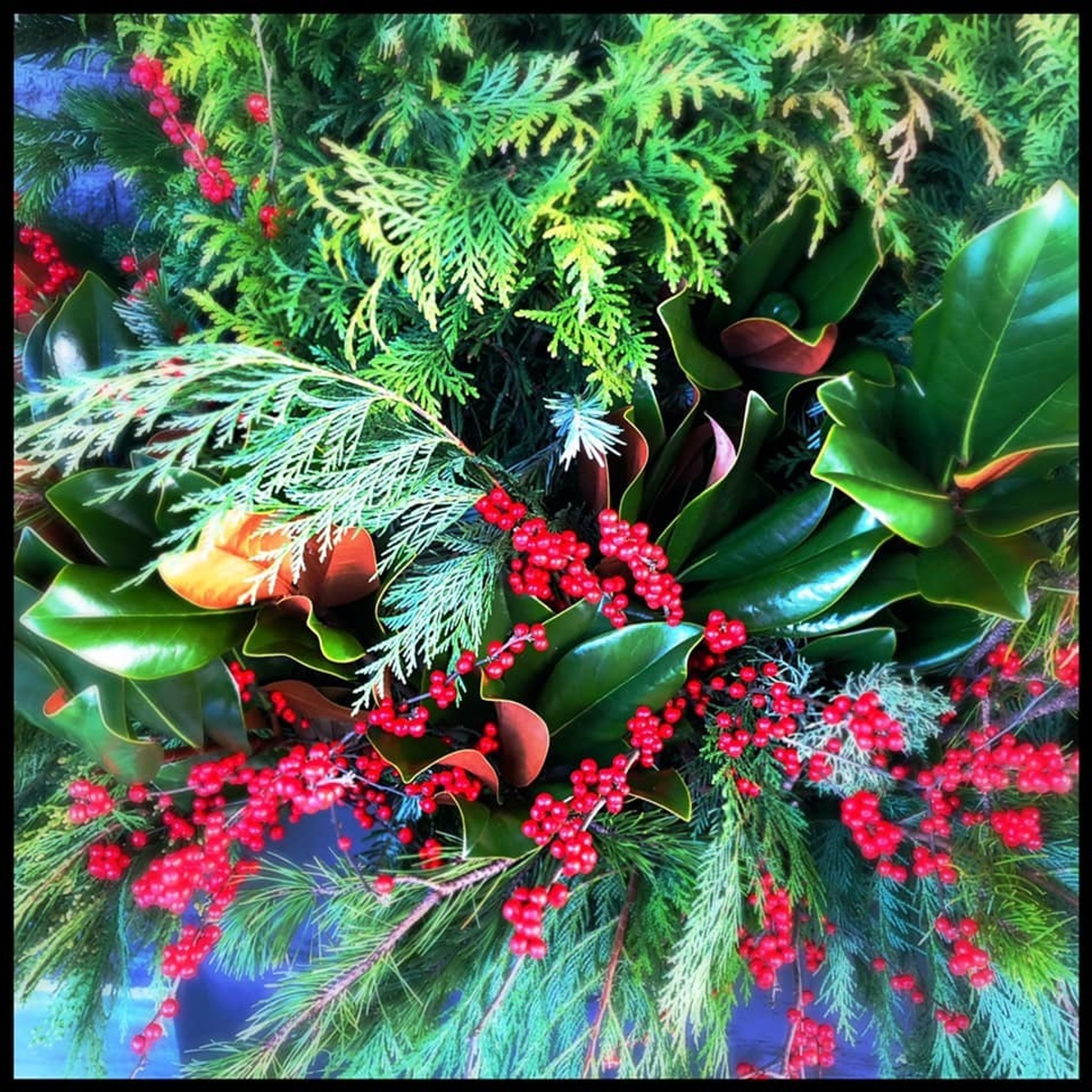 Cover photo of Brian James Davis Floral