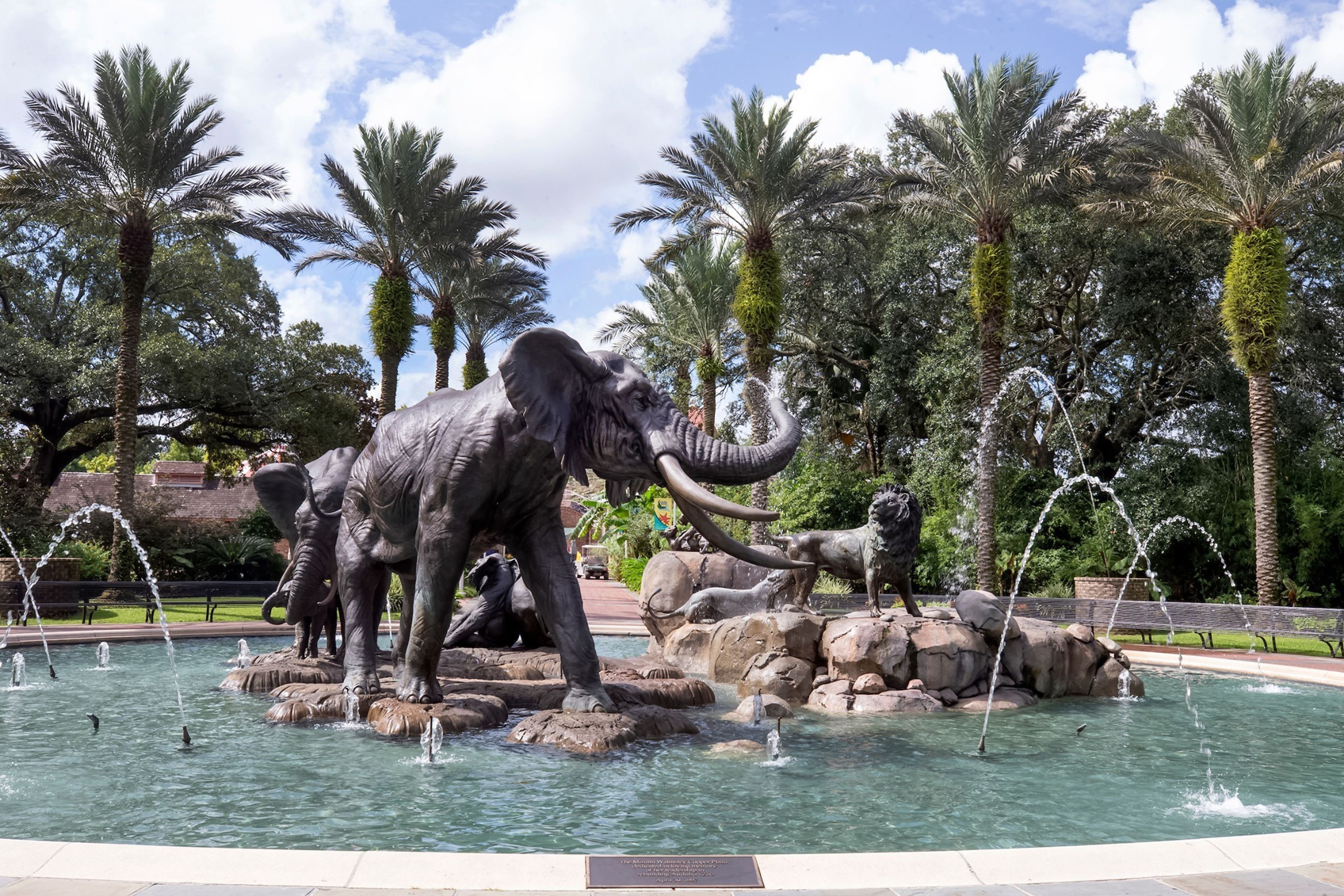 Cover photo of Audubon Aquarium of the Americas