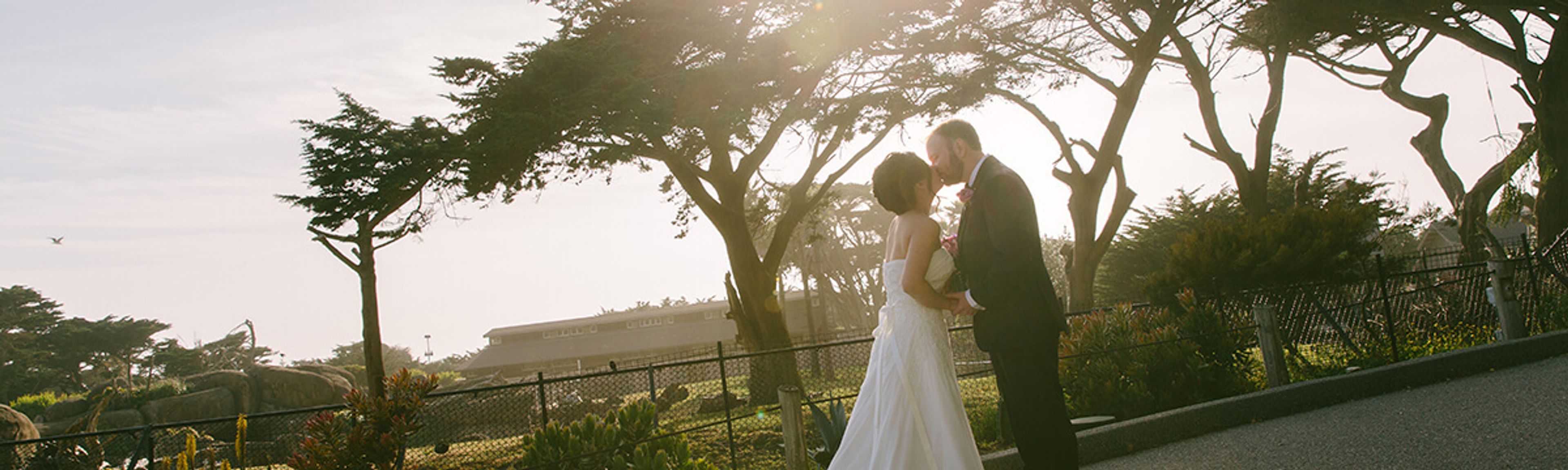 Cover photo of San Francisco Zoo