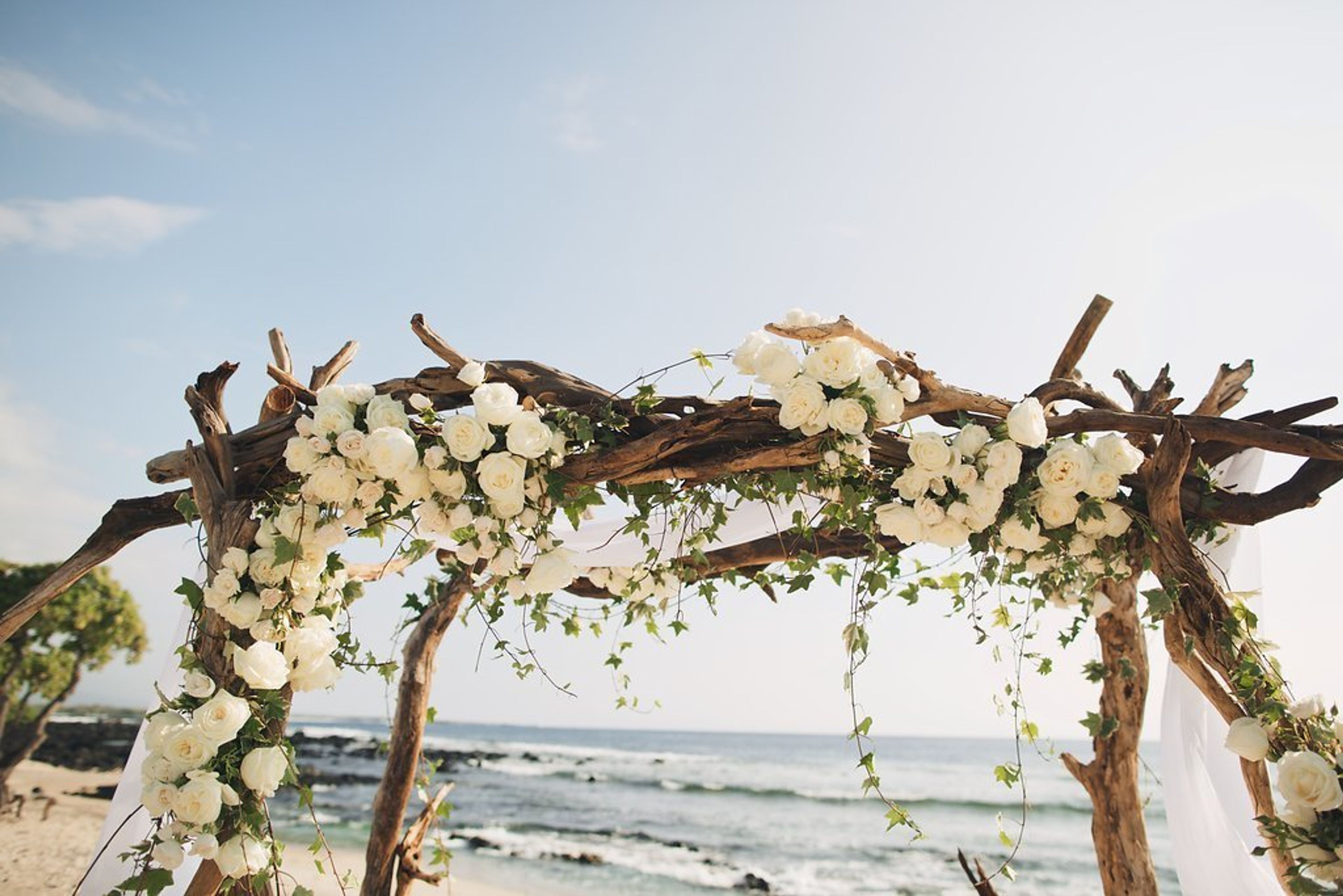 Cover photo of Teresa Sena Designs