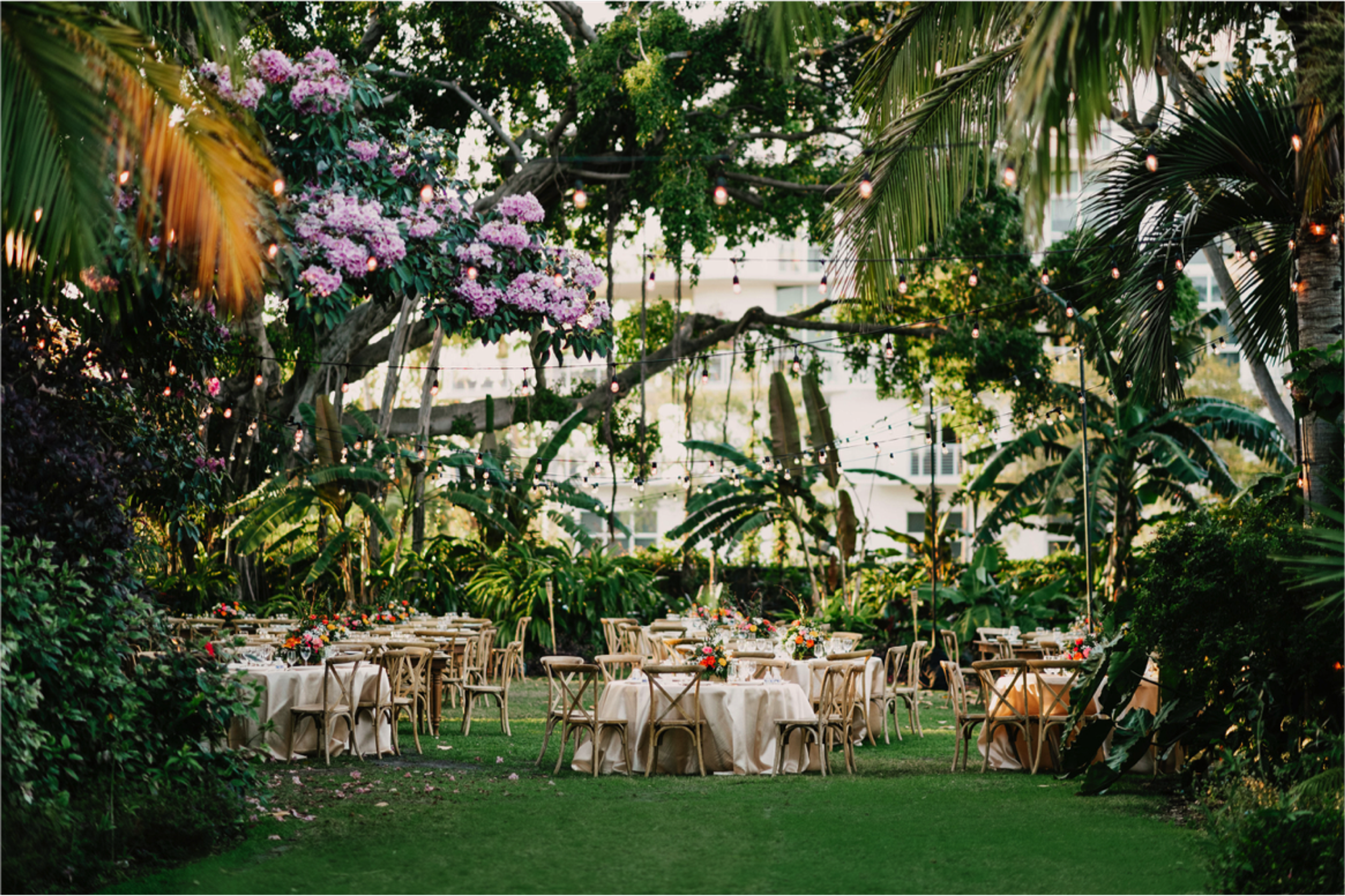 Cover photo of Miami Beach Botanical Garden