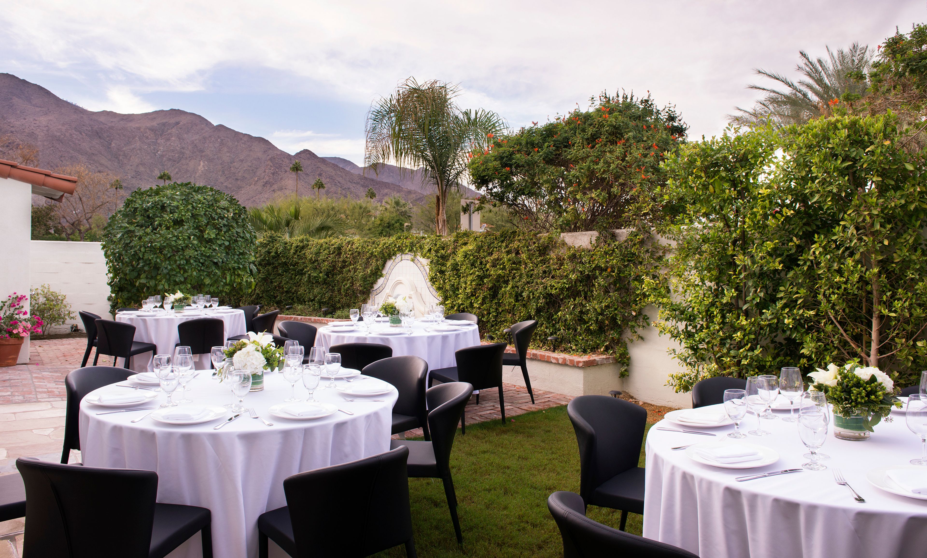 Cover photo of Colony Palms Hotel