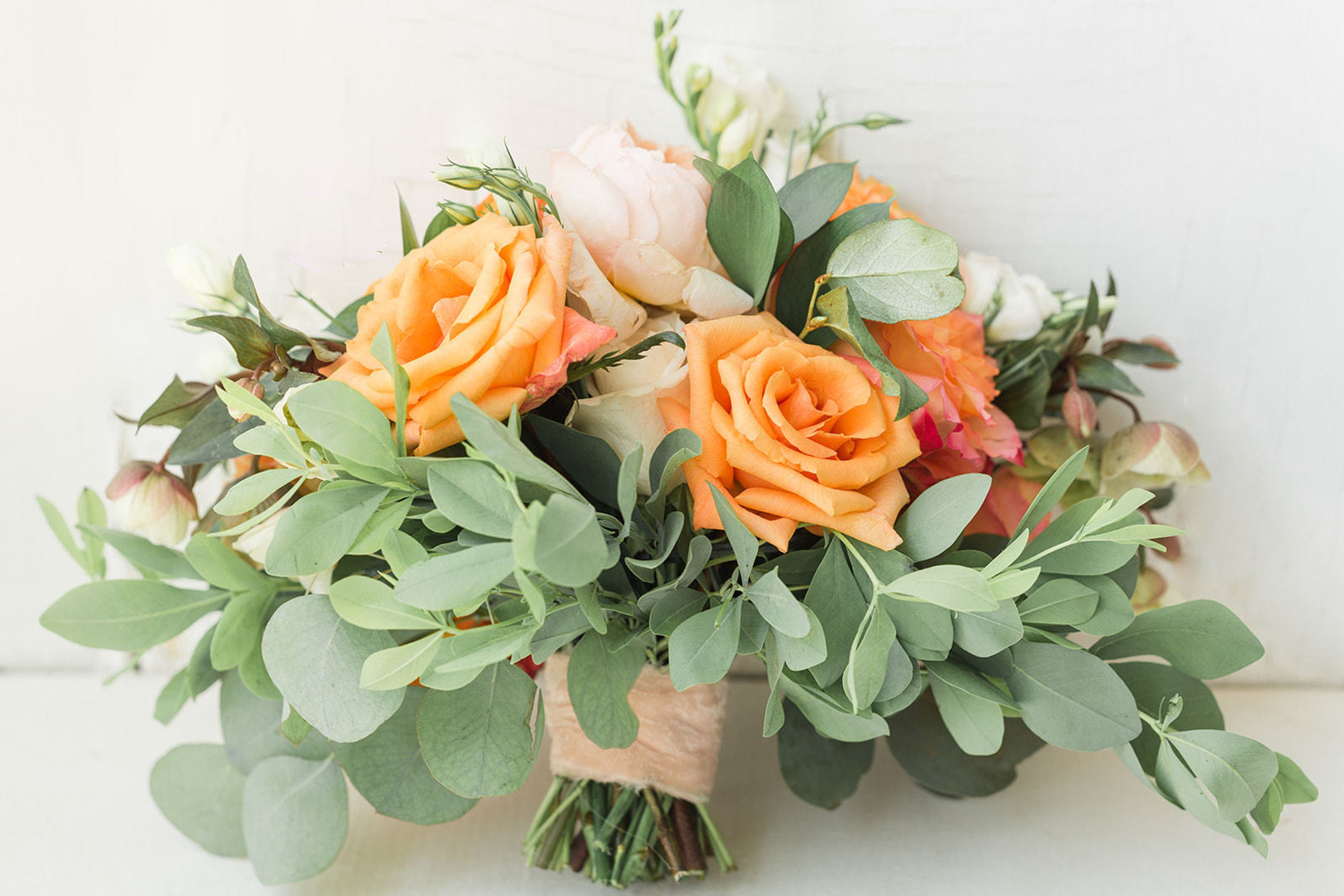 Cover photo of The Little Garden Spot