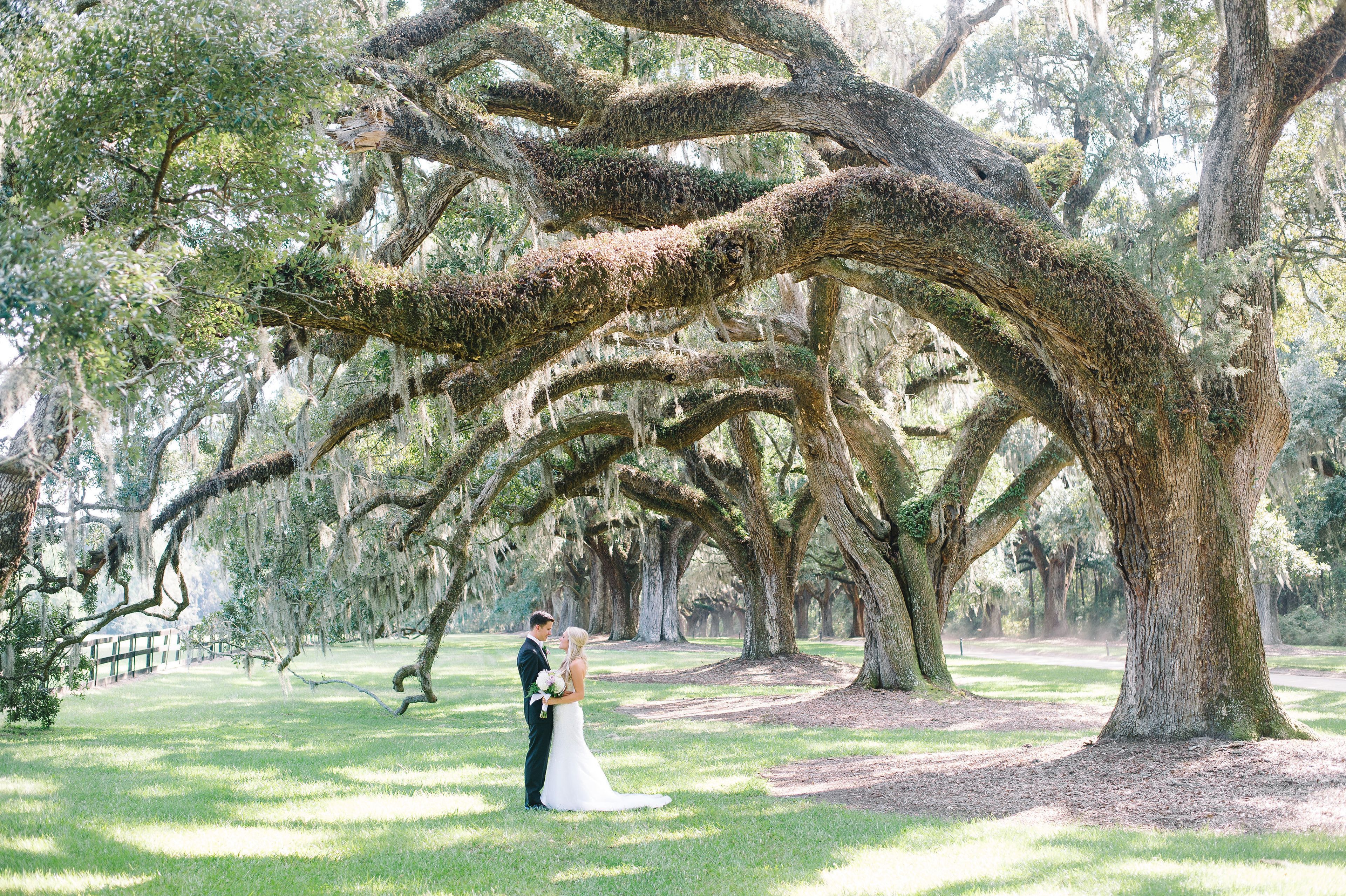 Cover photo of Boone Hall Plantation & Gardens