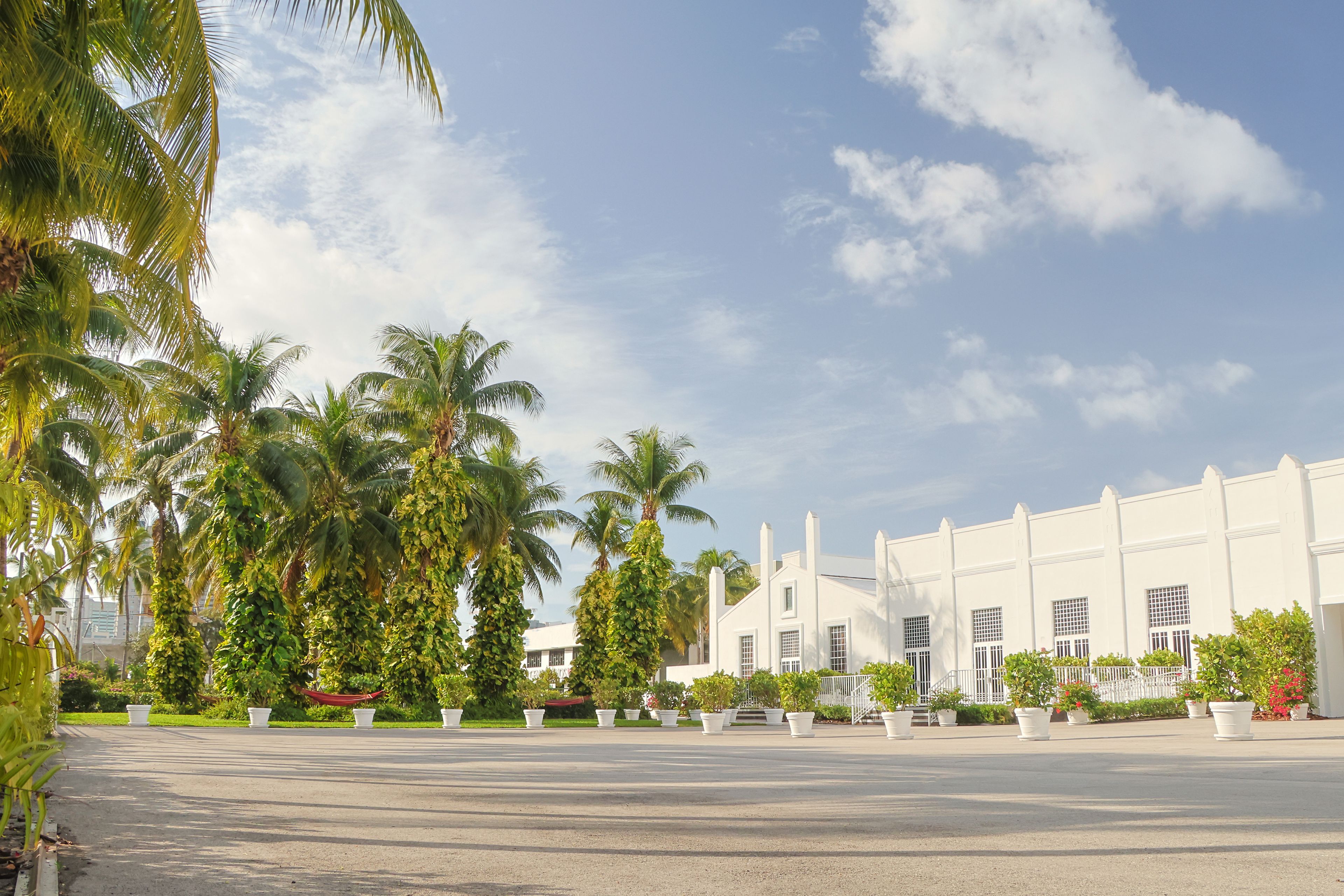 Cover photo of Ice Palace Studios