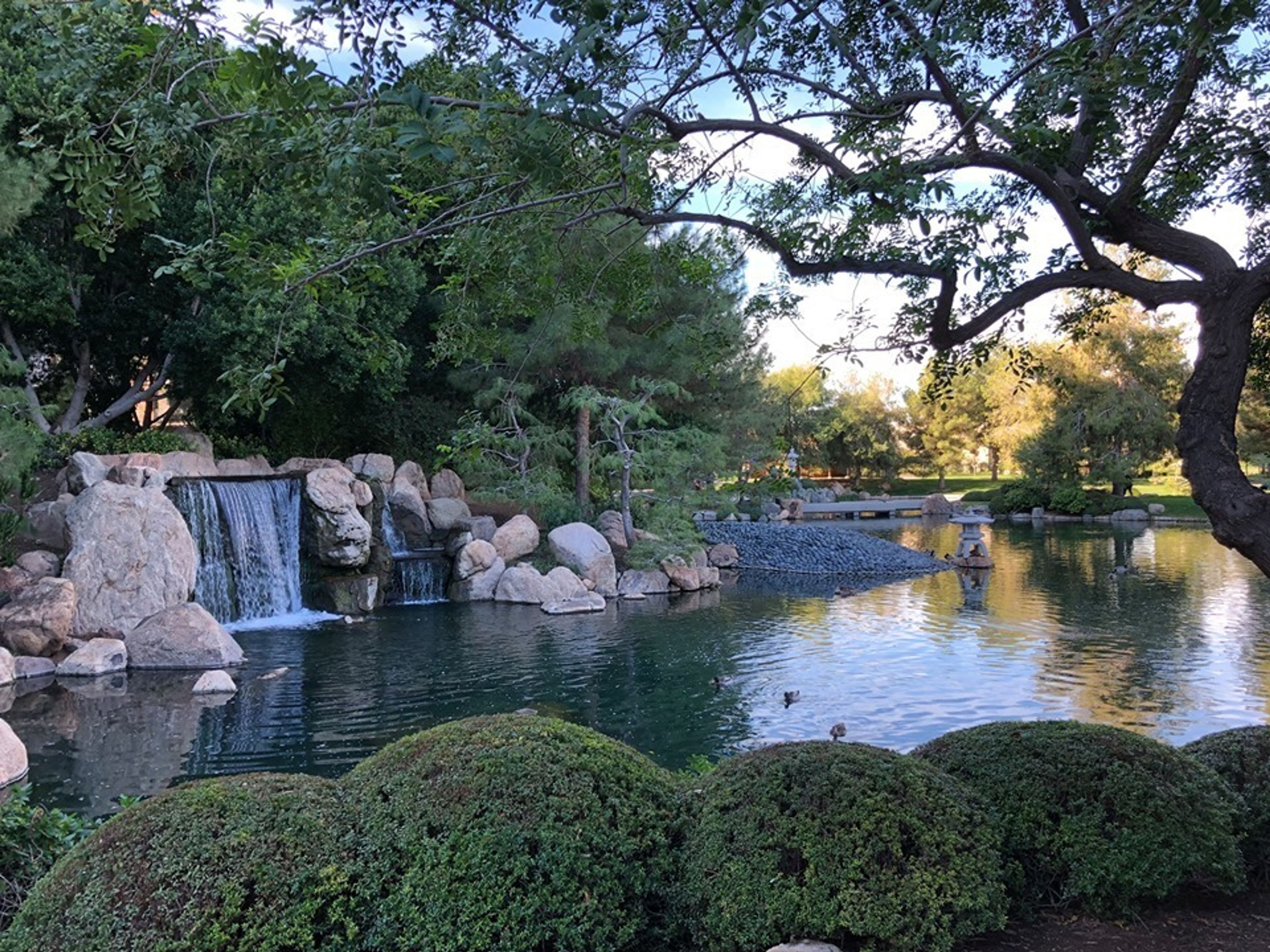 Cover photo of Japanese Friendship Gardens of Phoenix
