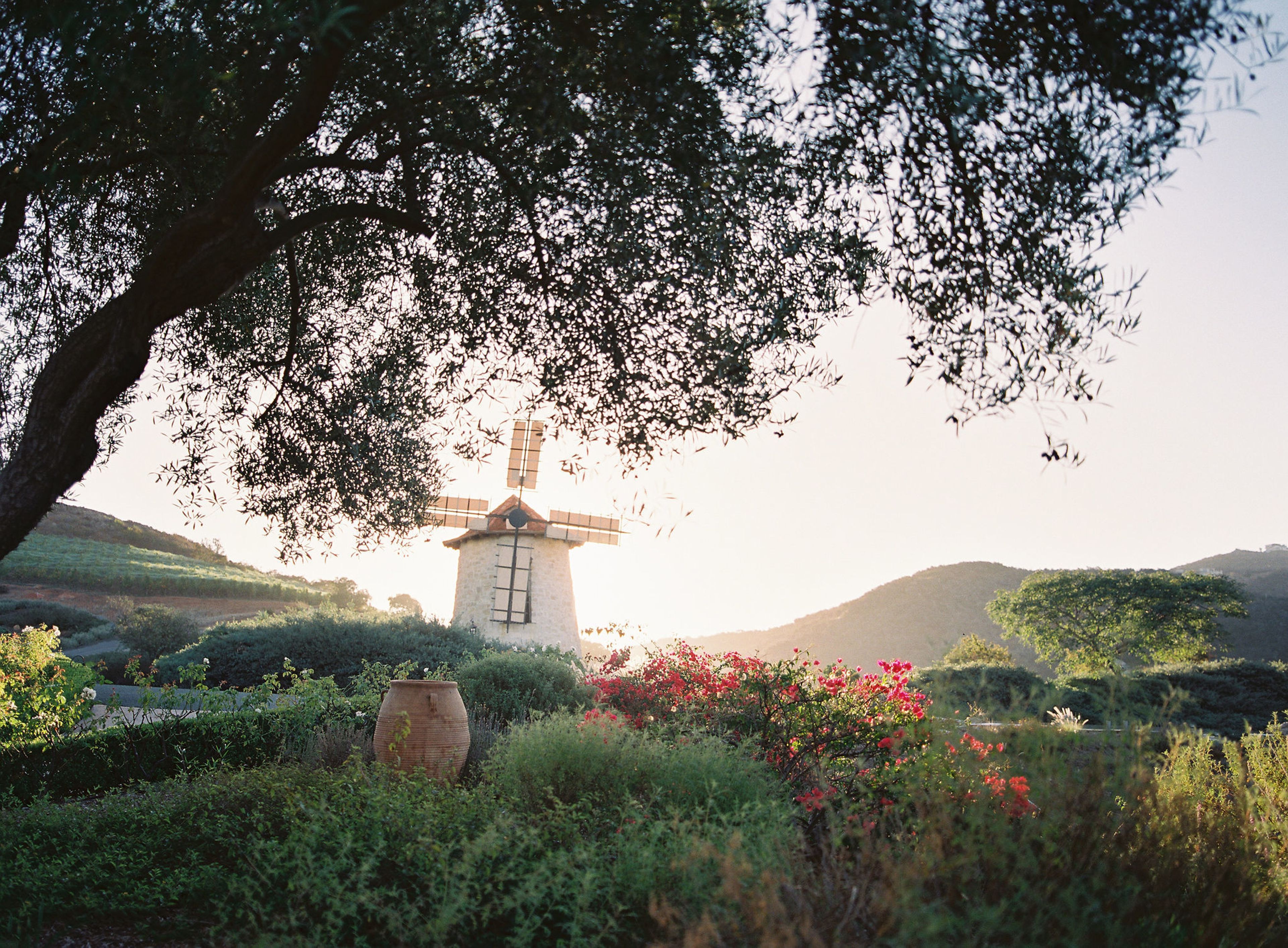 Cover photo of Cal-a-Vie