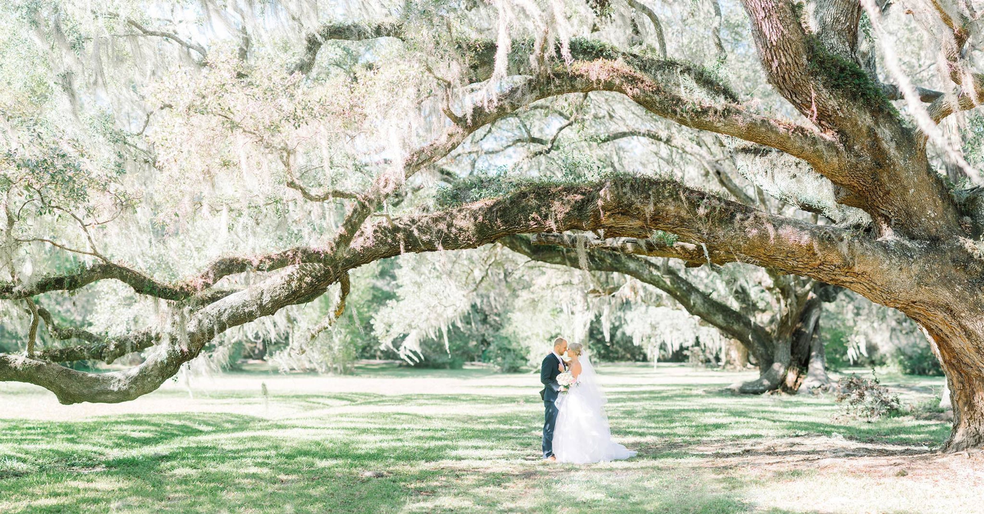 Cover photo of Magnolia Plantation & Gardens