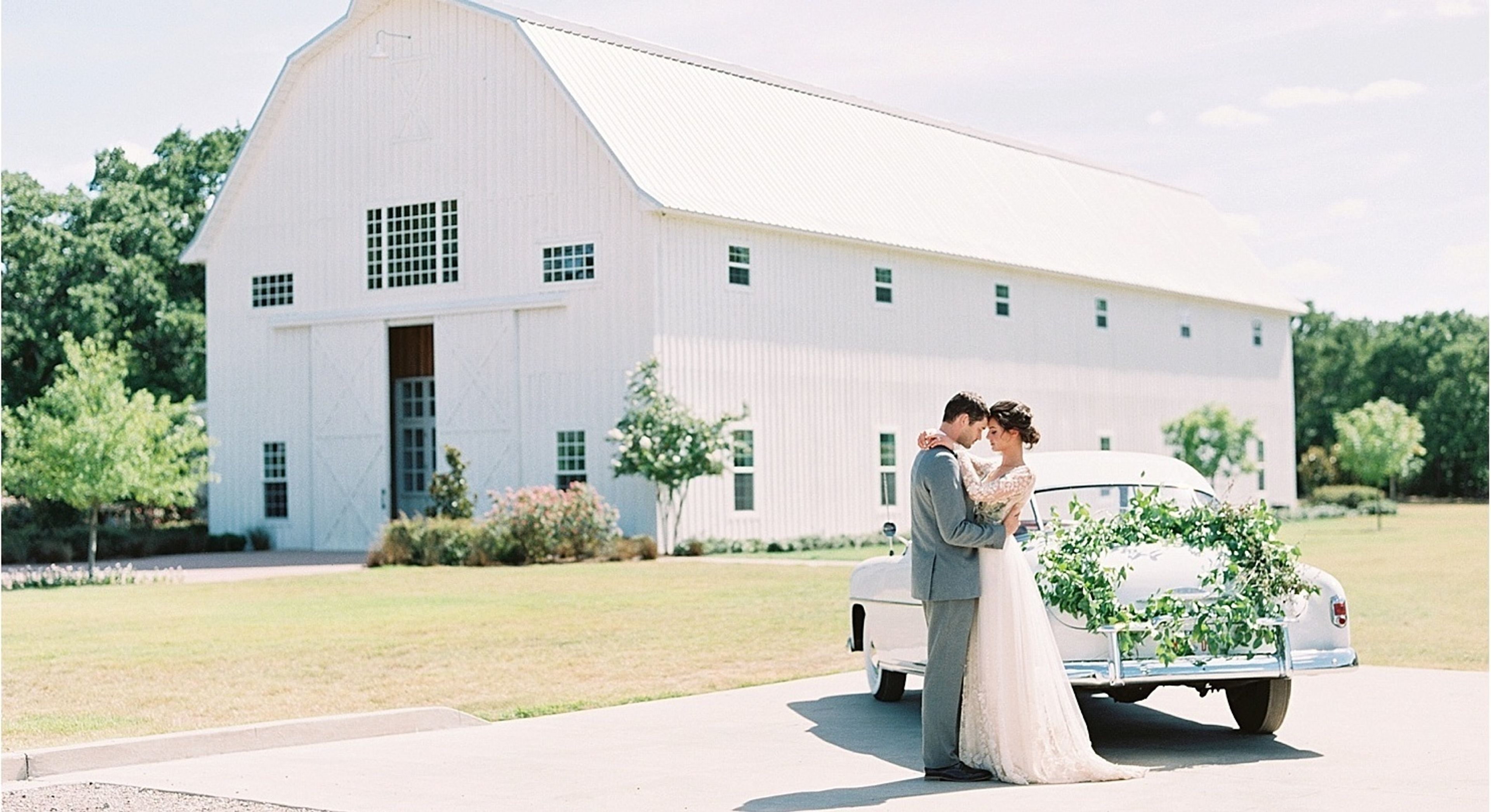 Cover photo of The White Sparrow