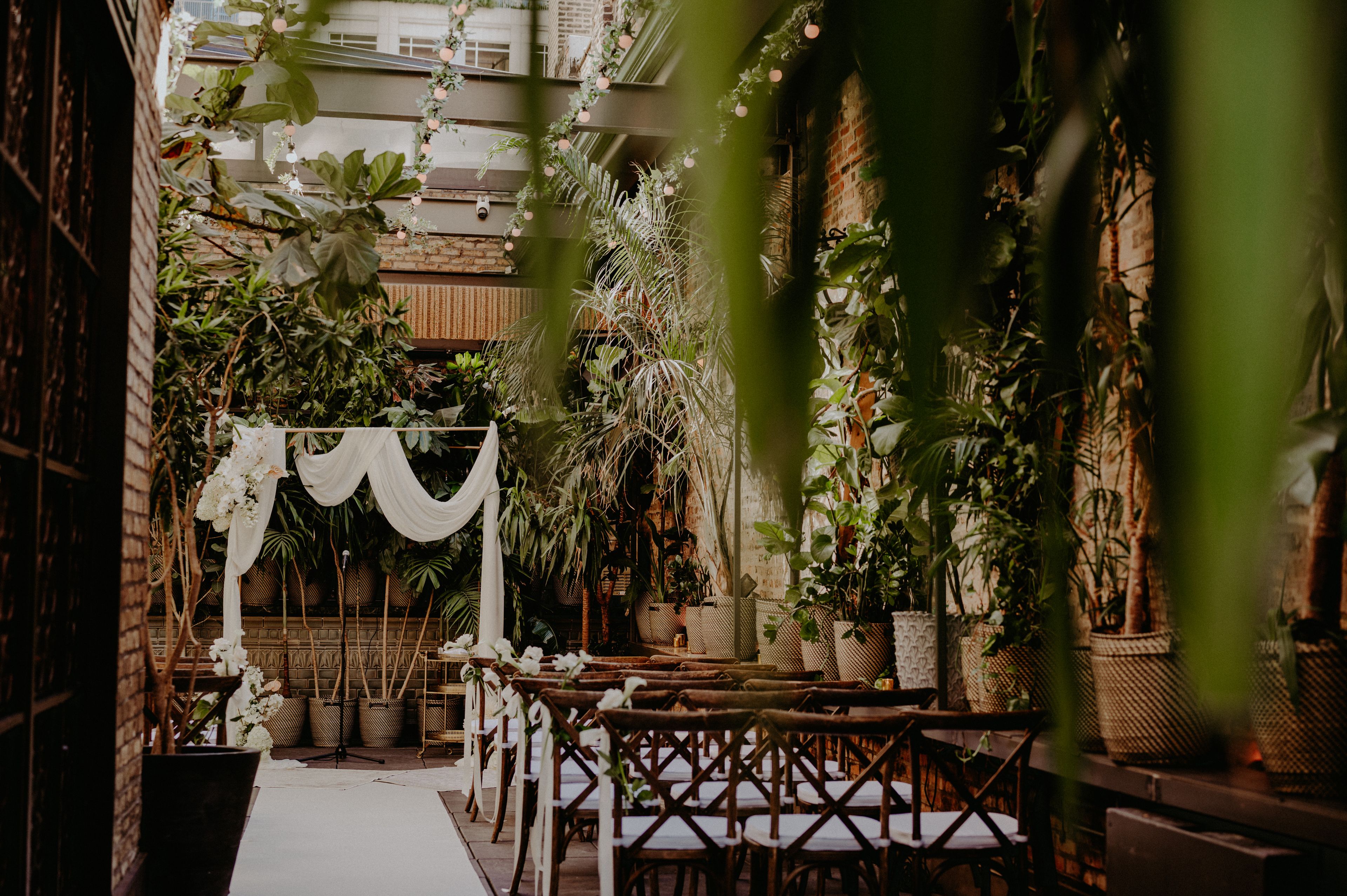 Cover photo of Celeste